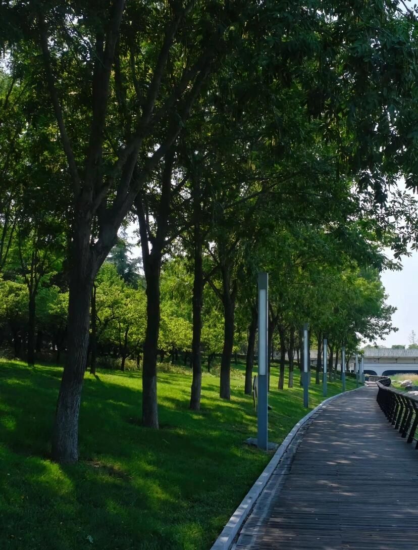 双鹤湖中央公园旅行图片