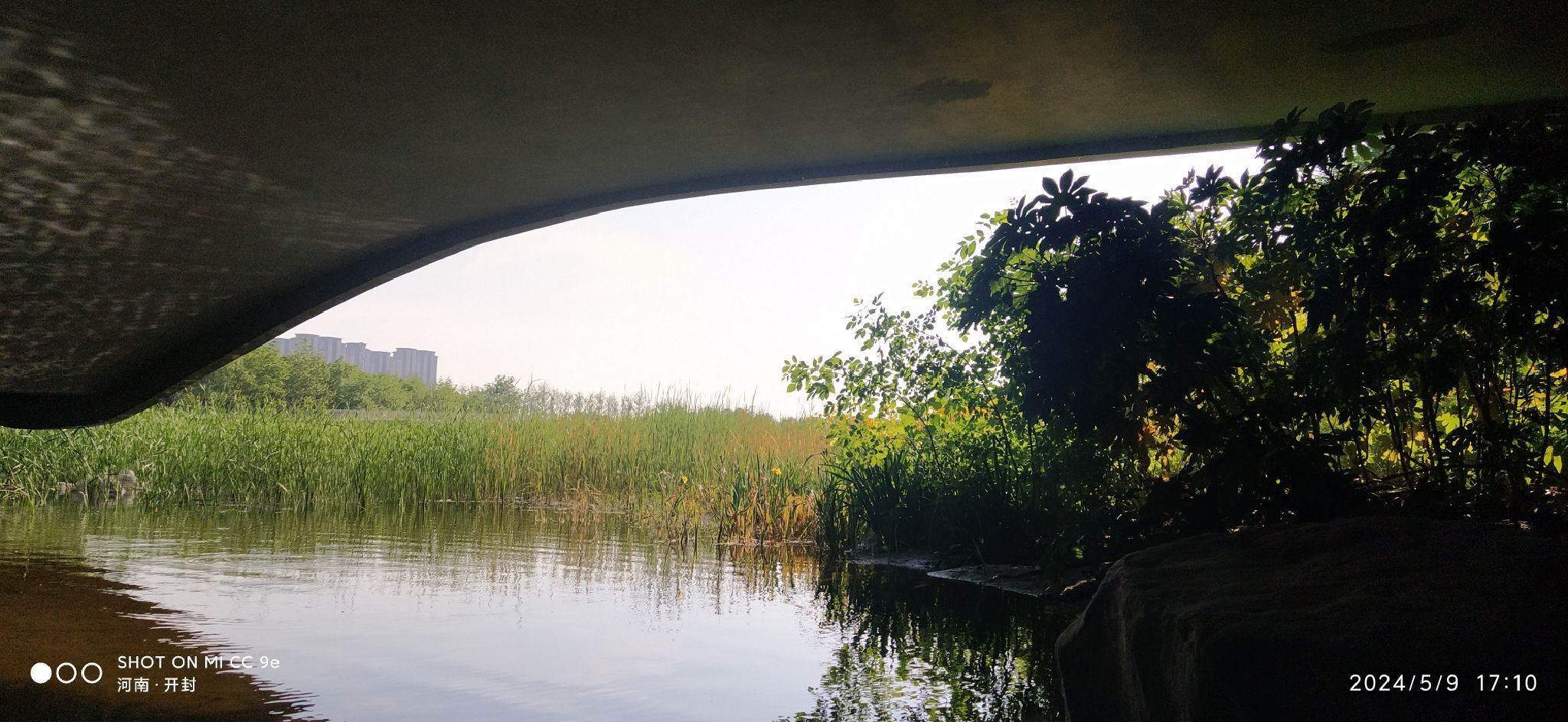 双鹤湖中央公园旅行图片