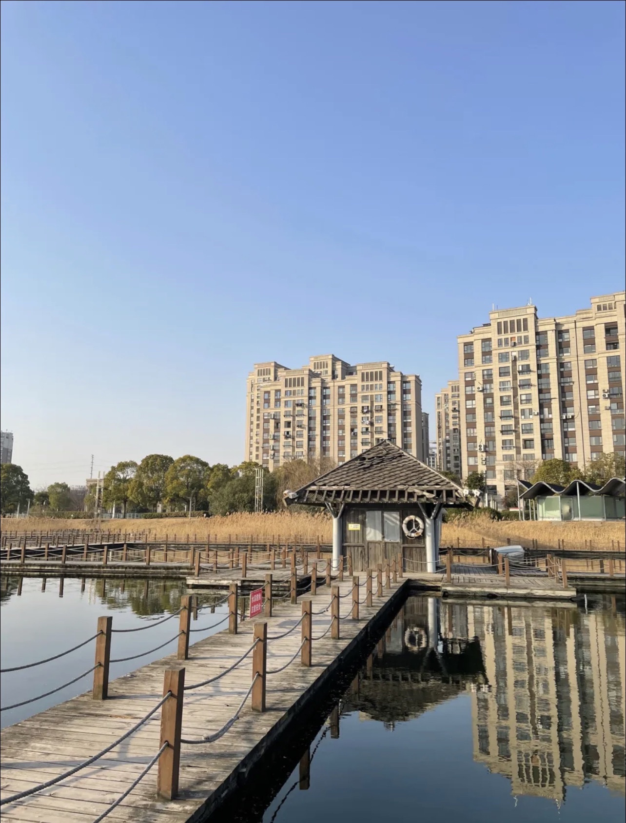 红学公园旅行图片 3