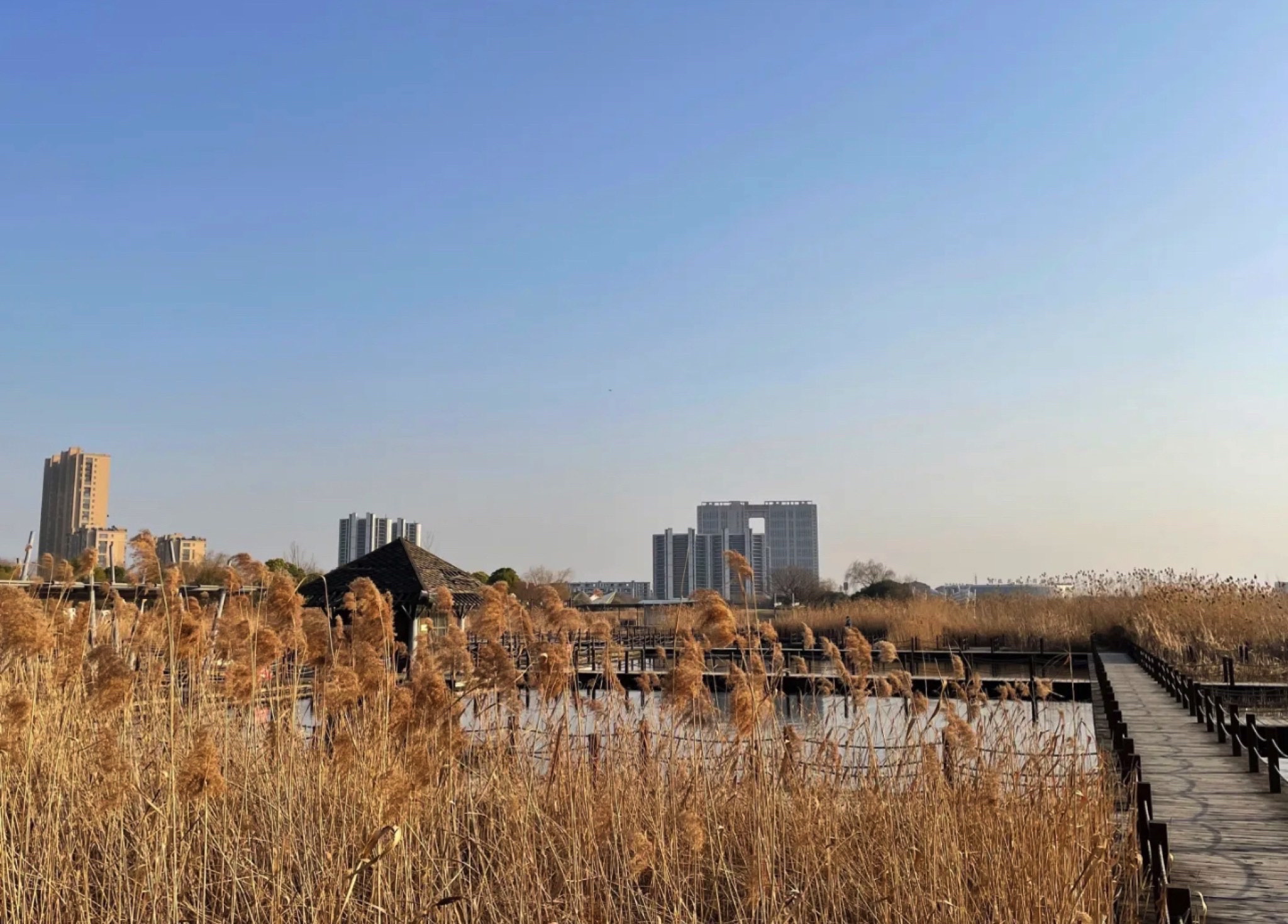 红学公园旅行图片 1