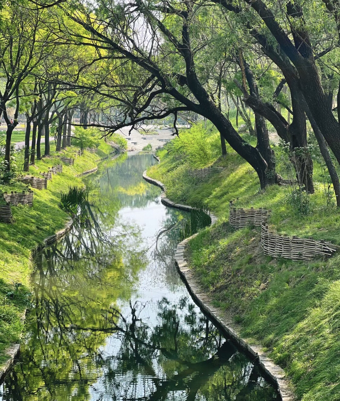三河湾公园旅行图片 3