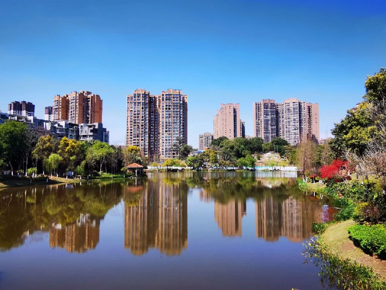 西城湿地公园旅行图片 1