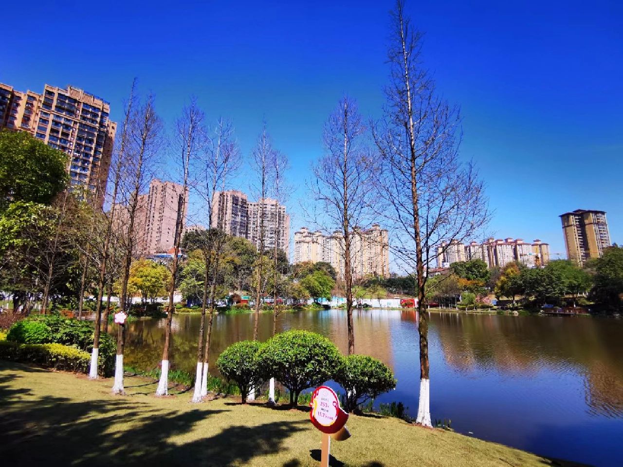 西城湿地公园旅行图片 3
