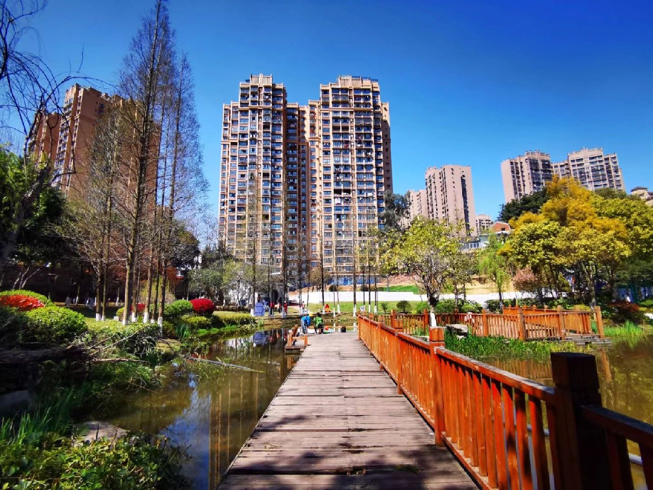 西城湿地公园旅行图片 2