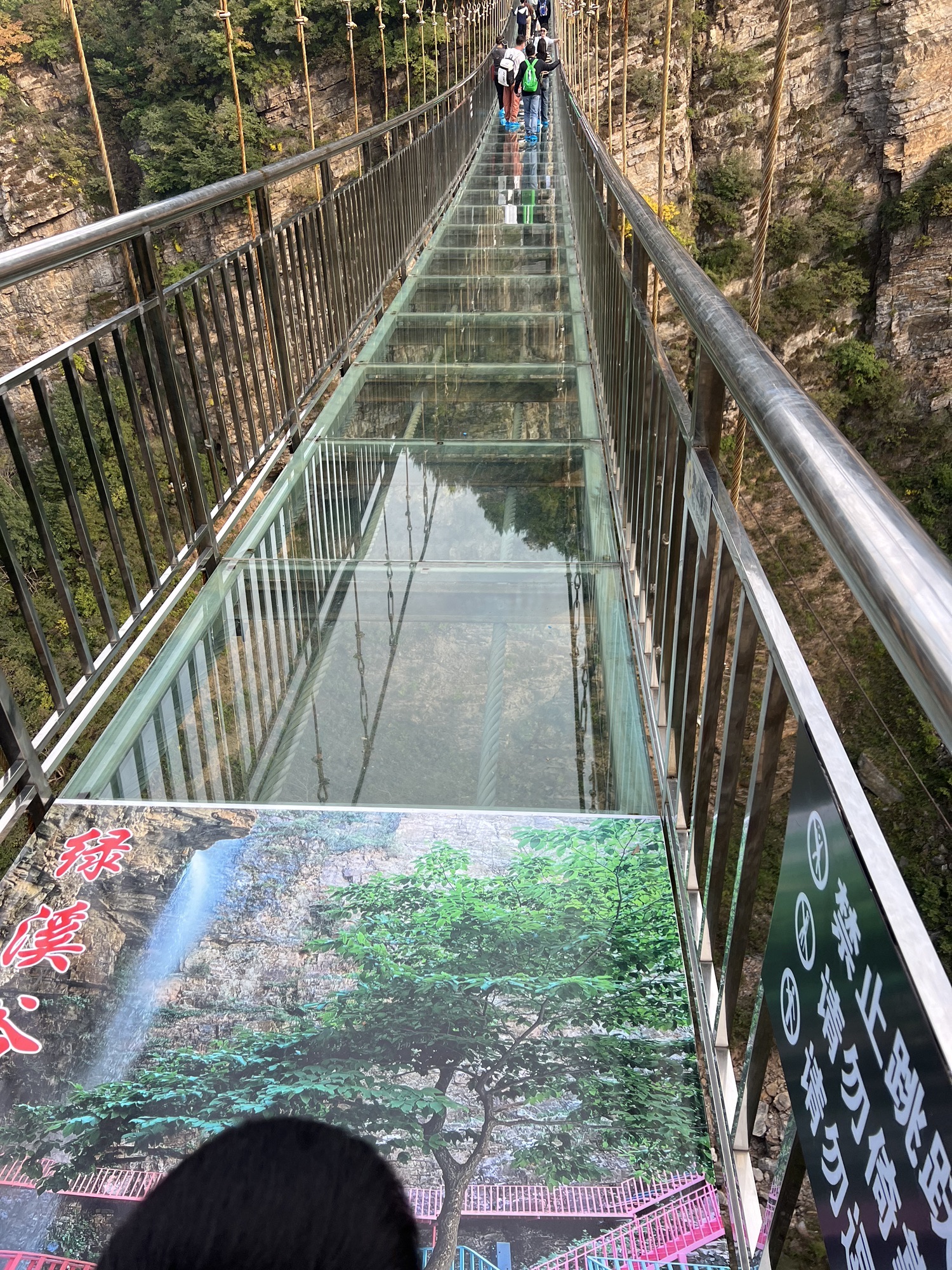 南天丽景景区旅行图片 3