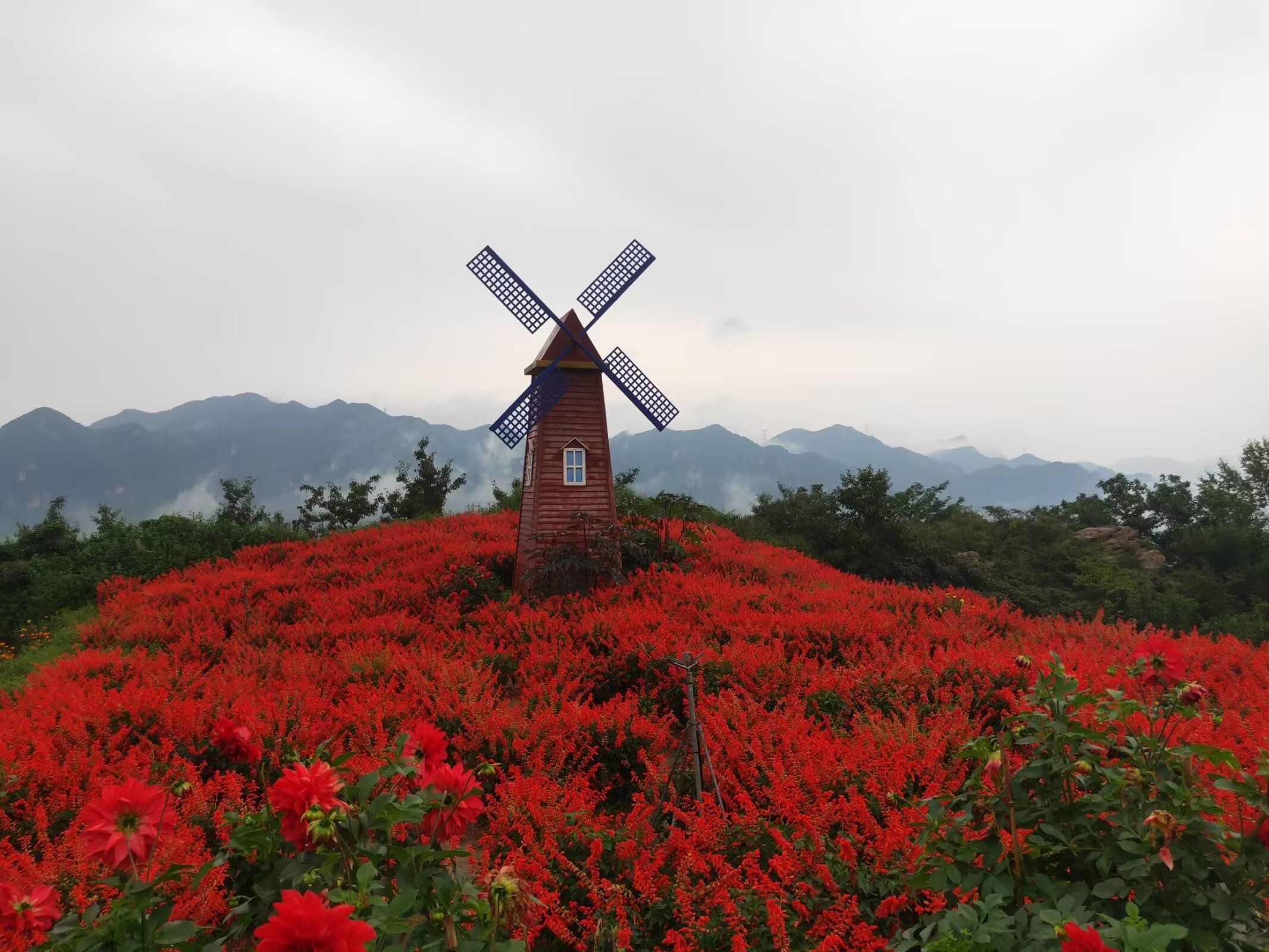南天丽景景区旅行图片 1