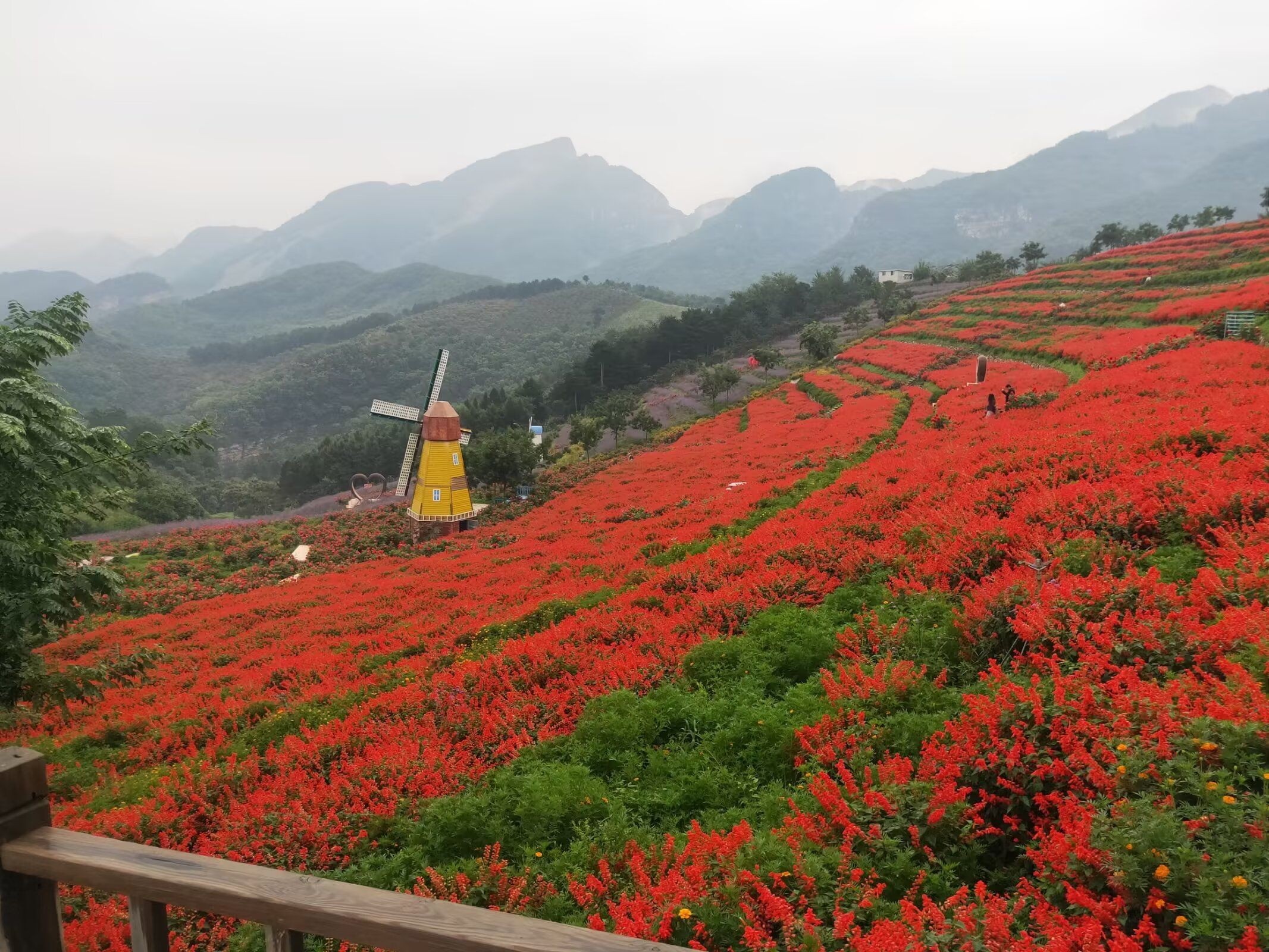 南天丽景景区旅行图片 2