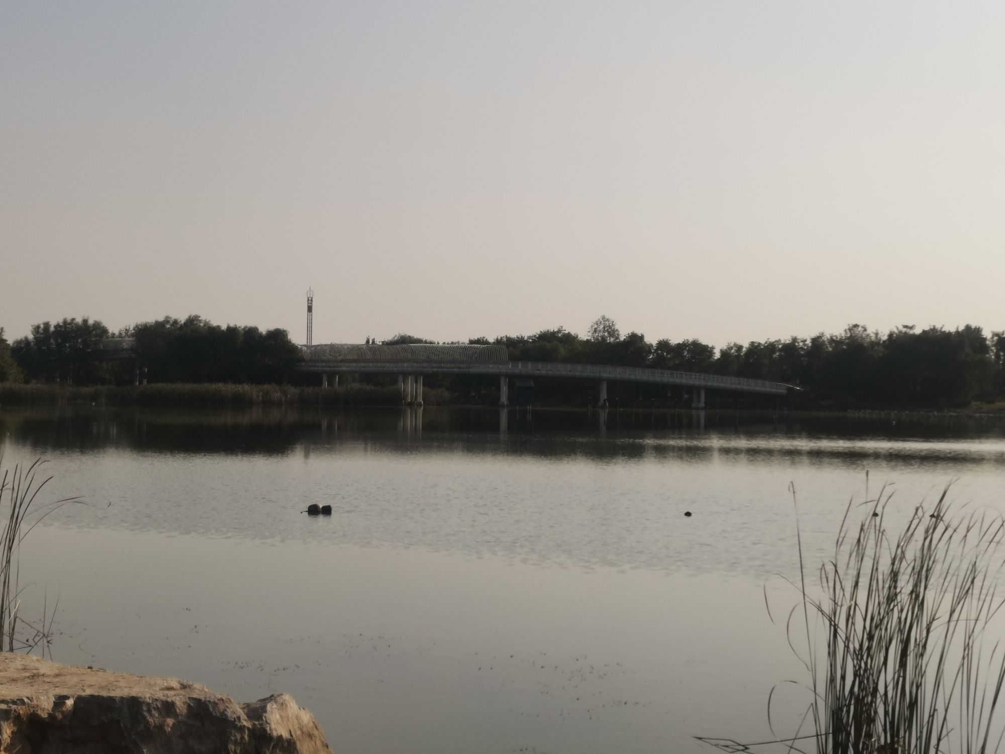 滑县森林公园旅行图片 1