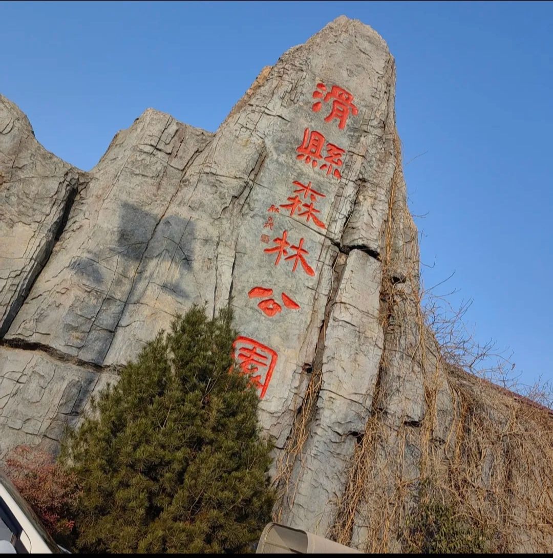 滑县森林公园旅行图片 3