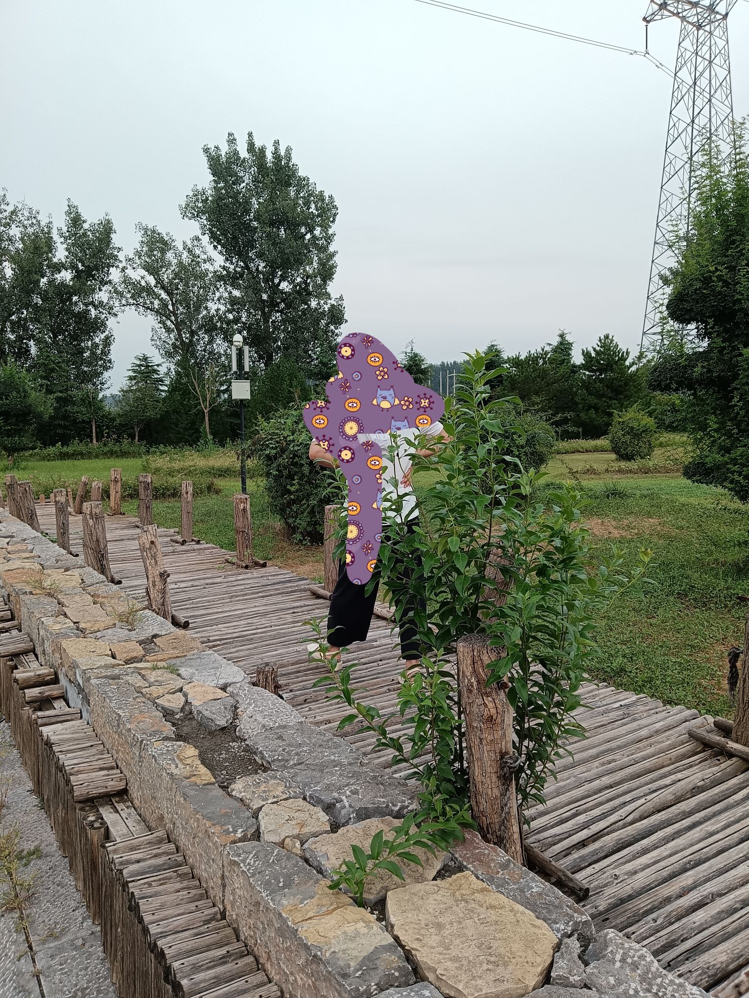滑县森林公园旅行图片 2