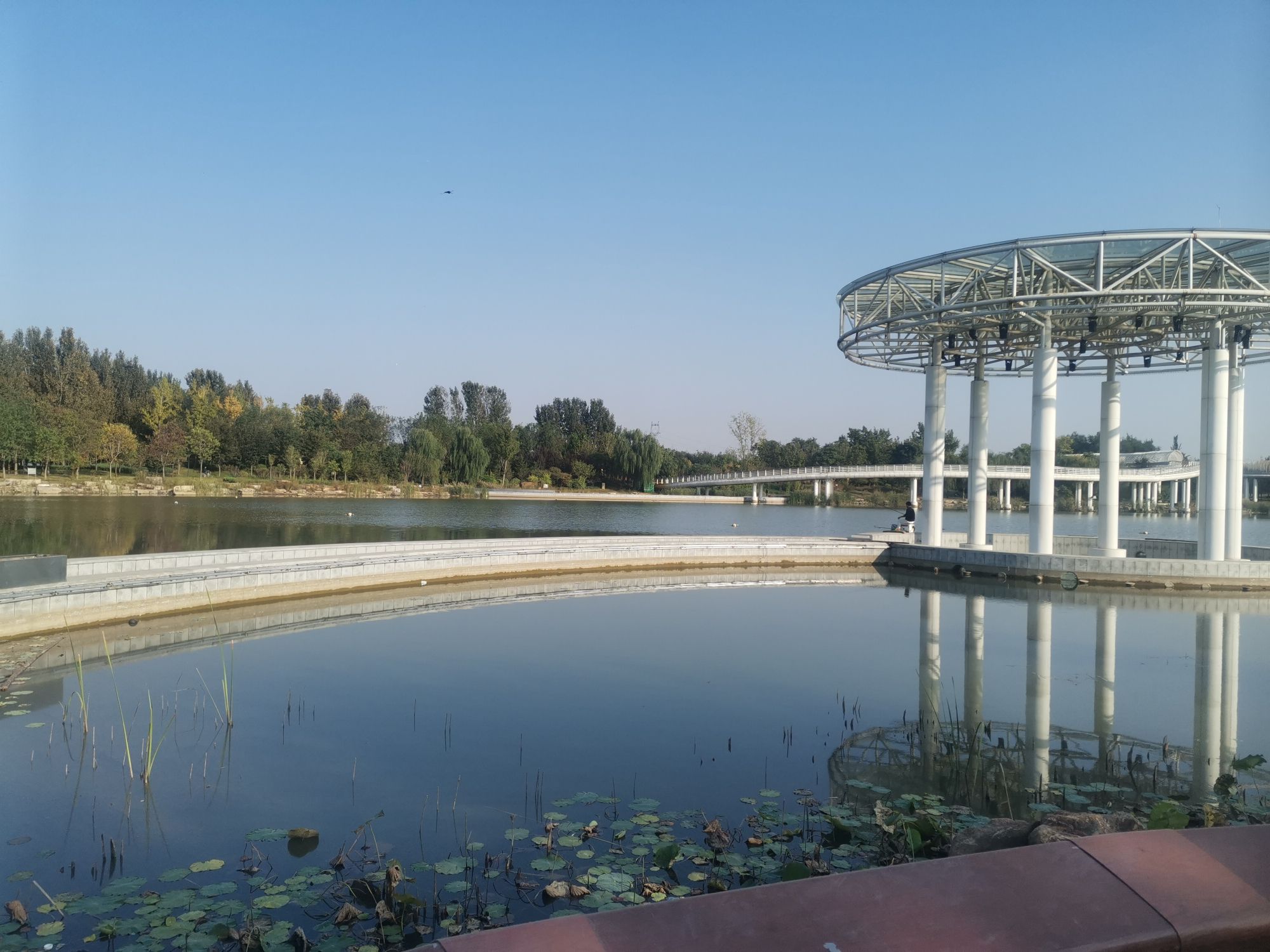 滑县森林公园旅行图片 2