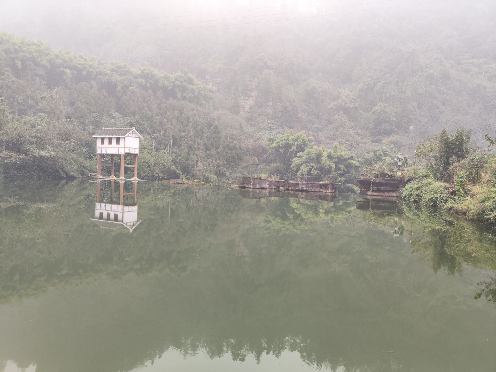 西湖湿地公园旅行图片 3