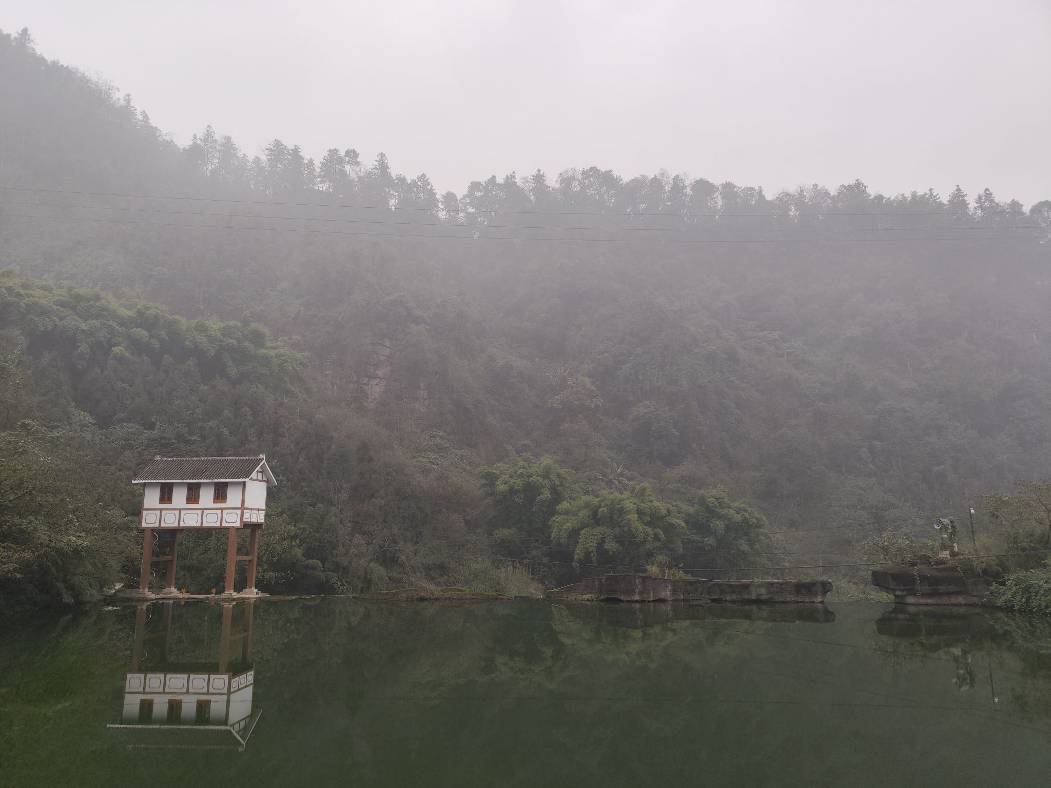 西湖湿地公园旅行图片 1