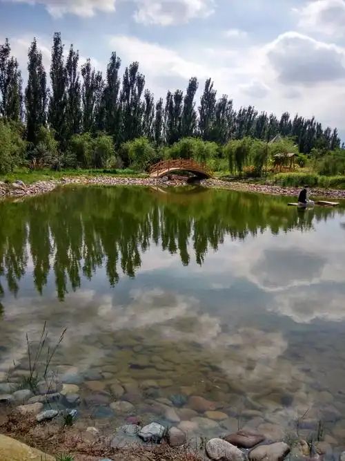 金昌市植物园
