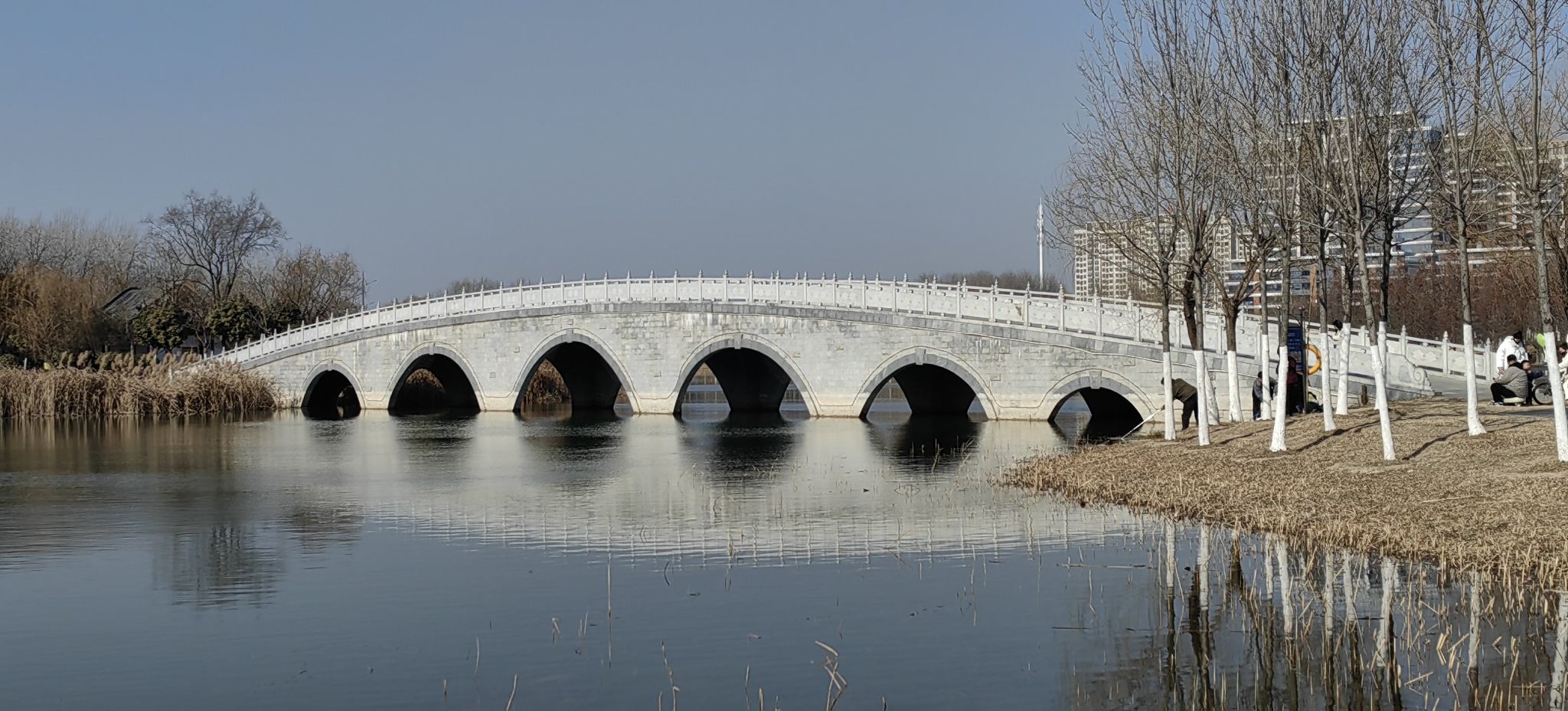 界首市颍南植物园旅行图片 3