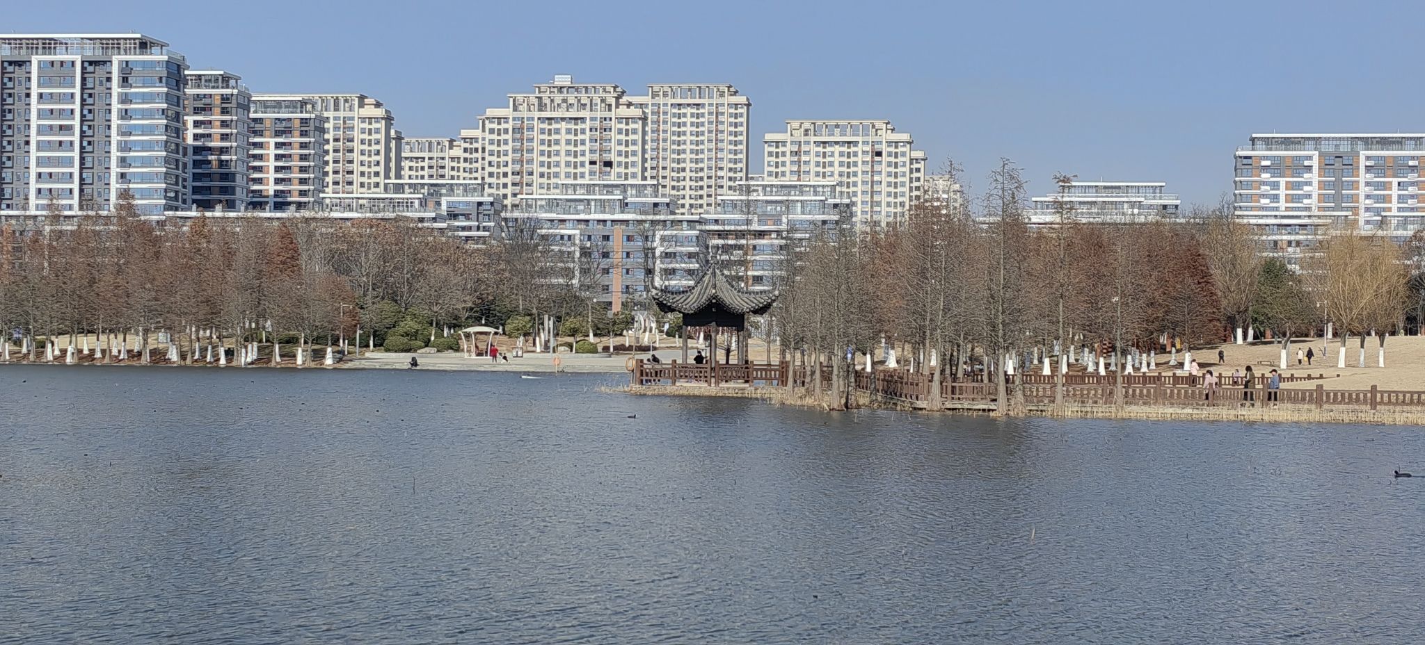 界首市颍南植物园旅行图片 2