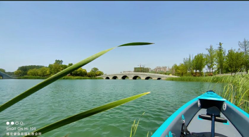 界首市颍南植物园旅行图片 1