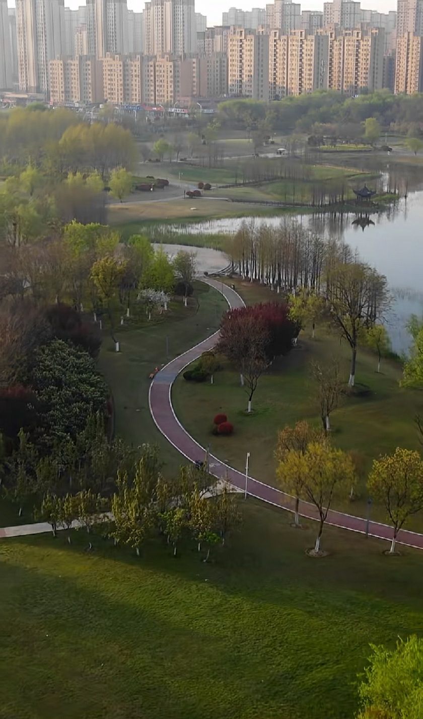 界首市颍南植物园旅行图片 3