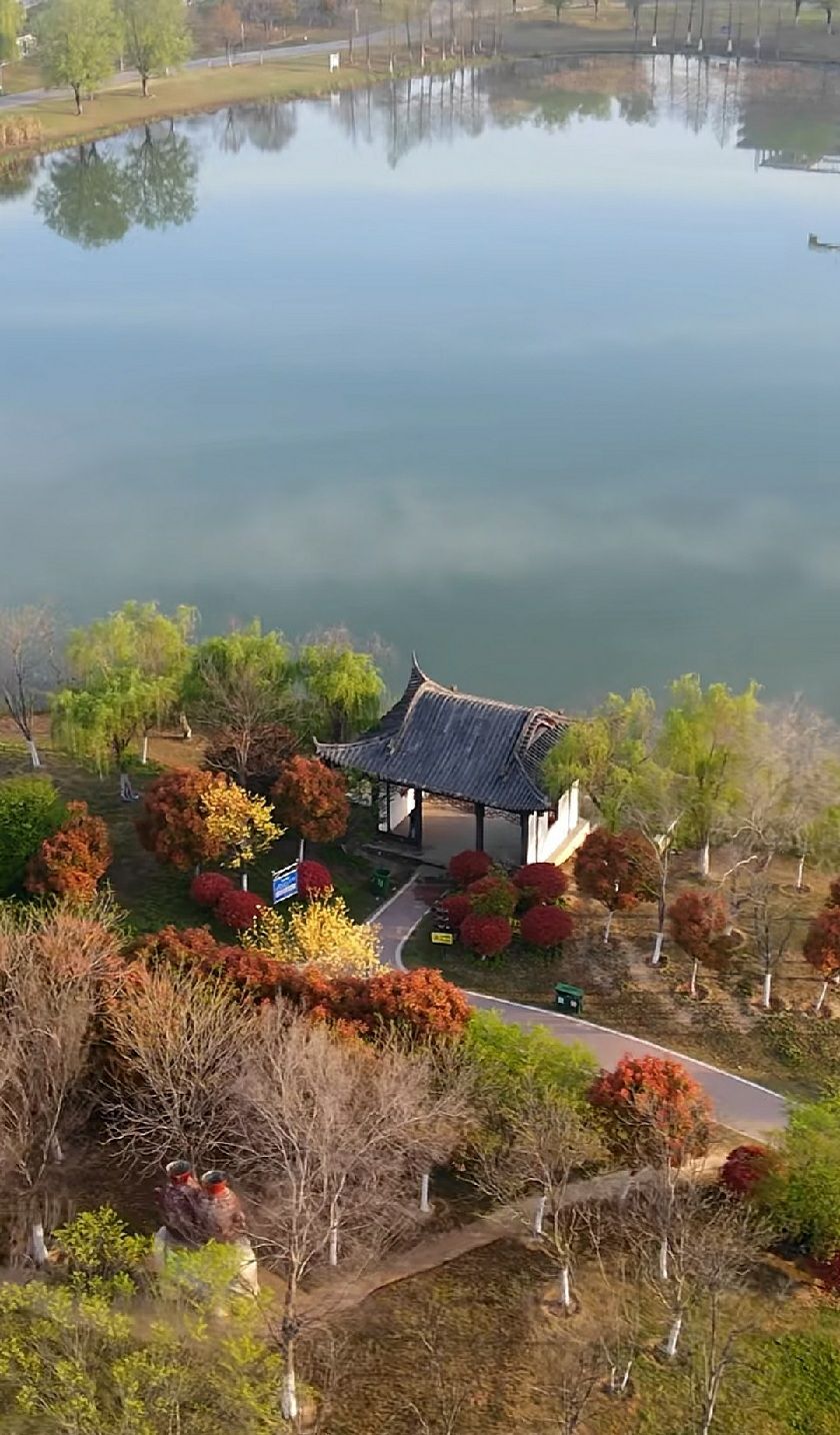 界首市颍南植物园旅行图片 2