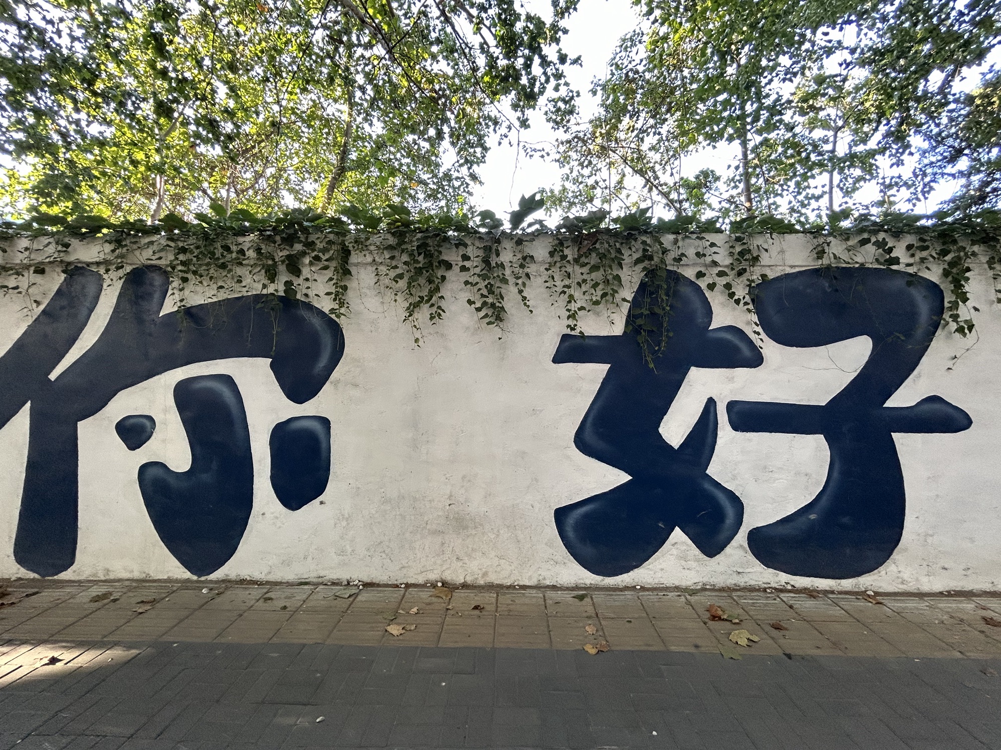 安娜及刘长春居所旅行图片 3
