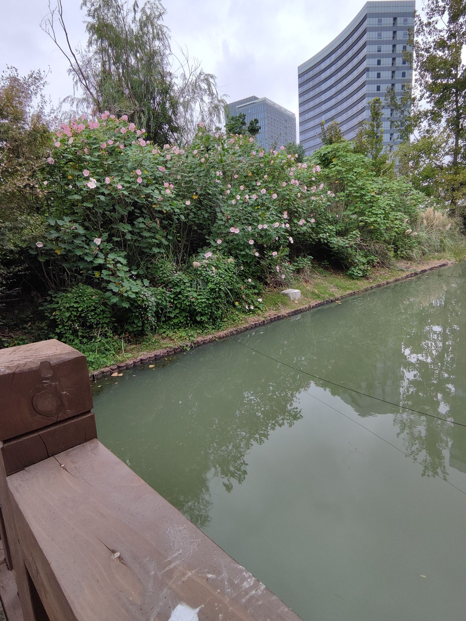 栅桥公园旅行图片 1