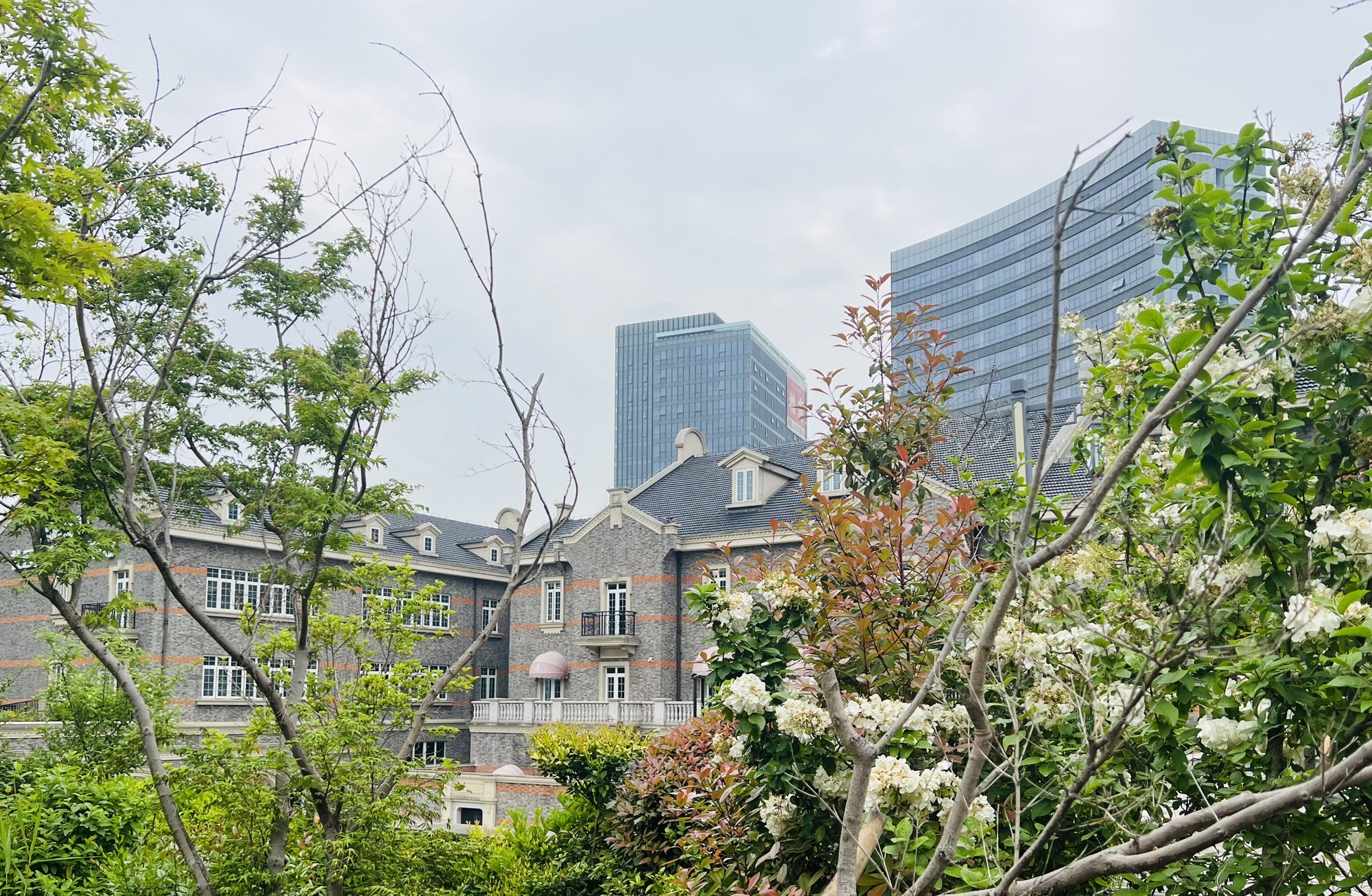 栅桥公园旅行图片 1