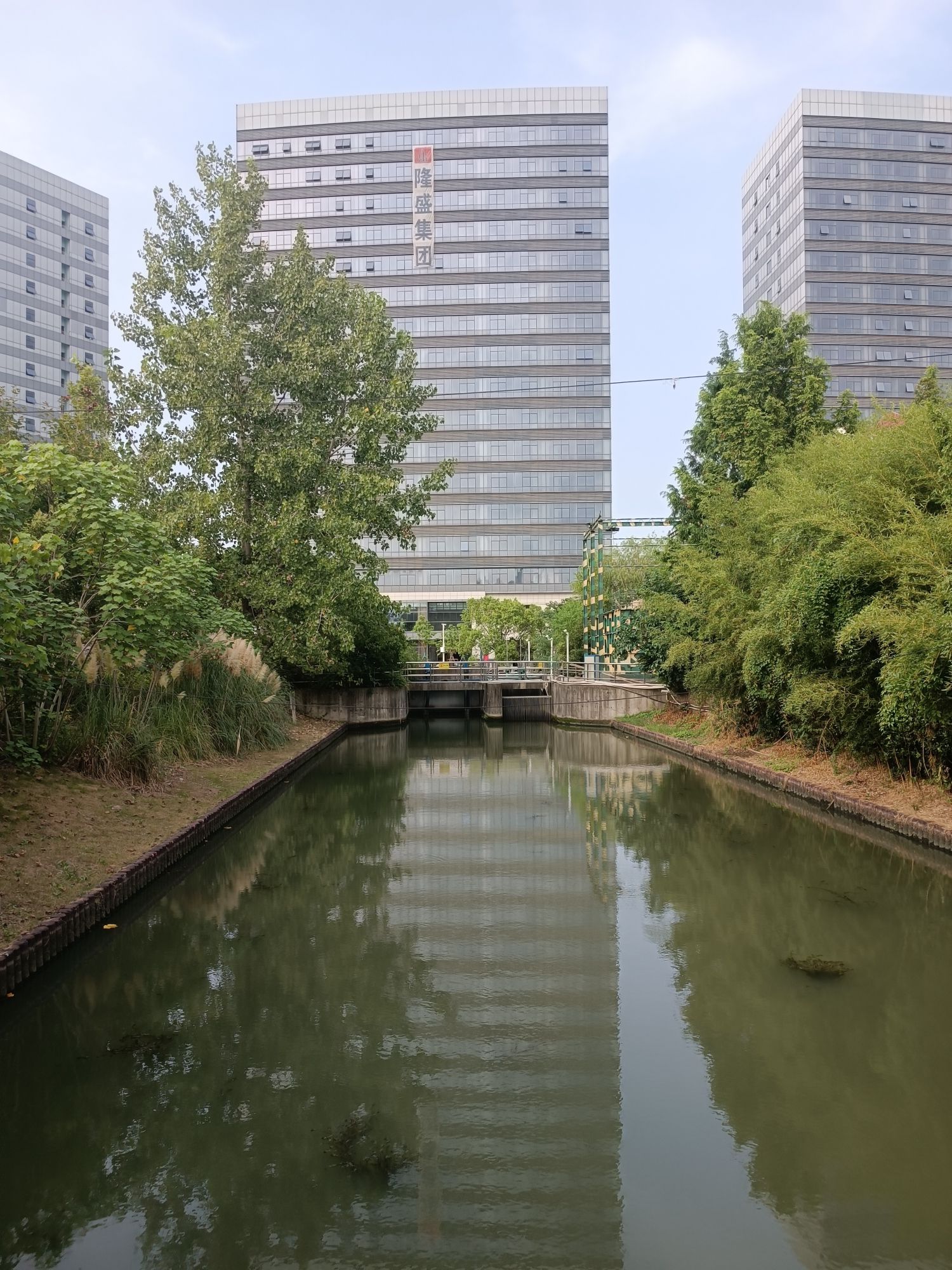 栅桥公园旅行图片 2