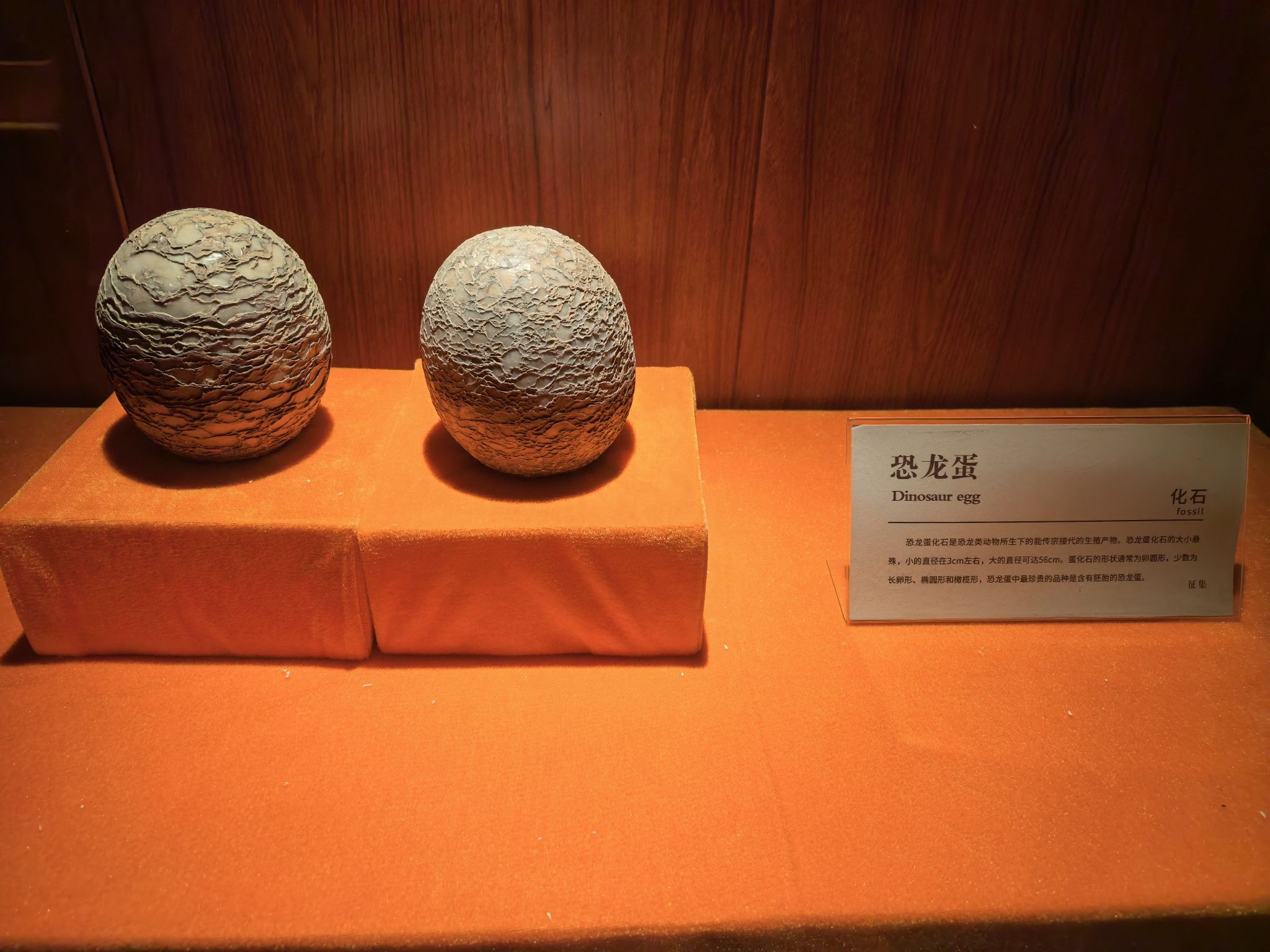 兴台古镇旅行图片 3