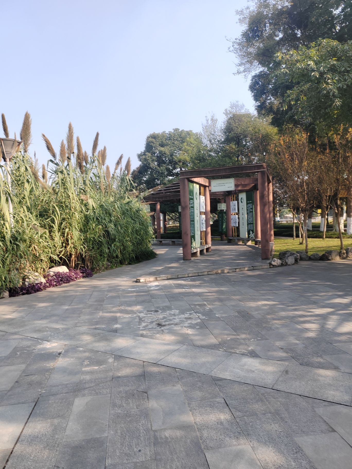 西游广场旅行图片 3