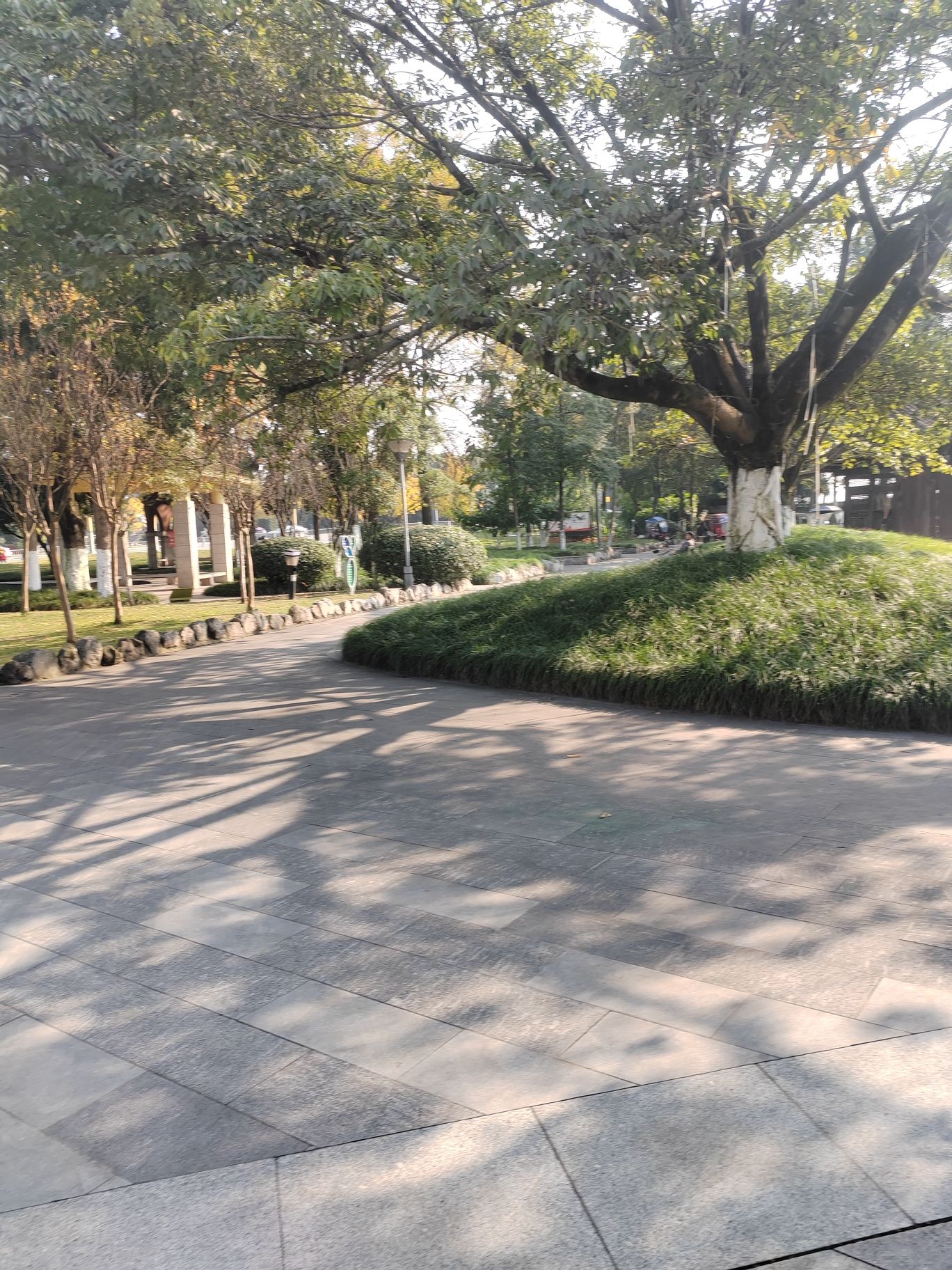 西游广场旅行图片 1