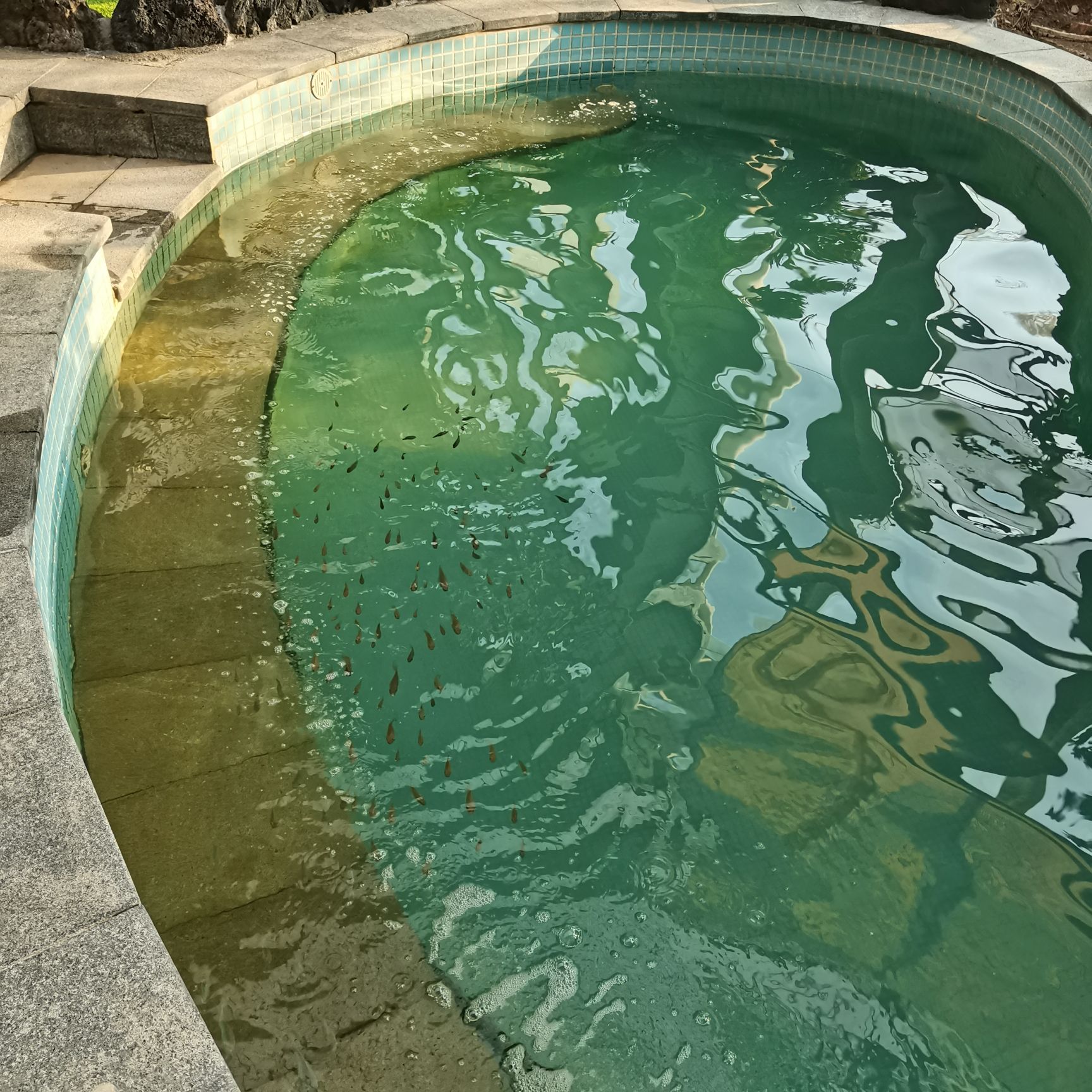 泗洪洪泽湖湿地温泉度假村旅行图片 3