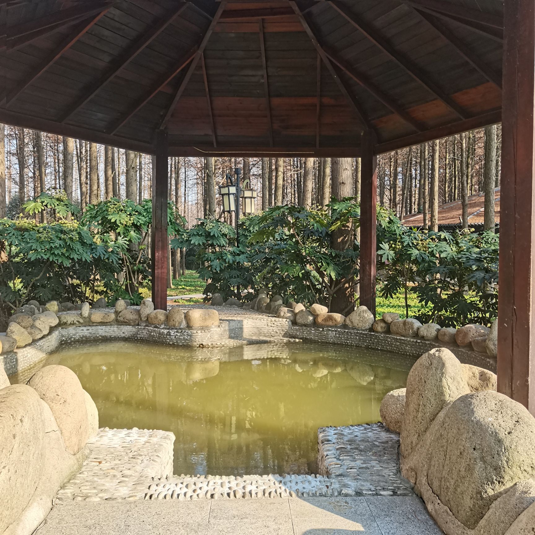 泗洪洪泽湖湿地温泉度假村旅行图片 1