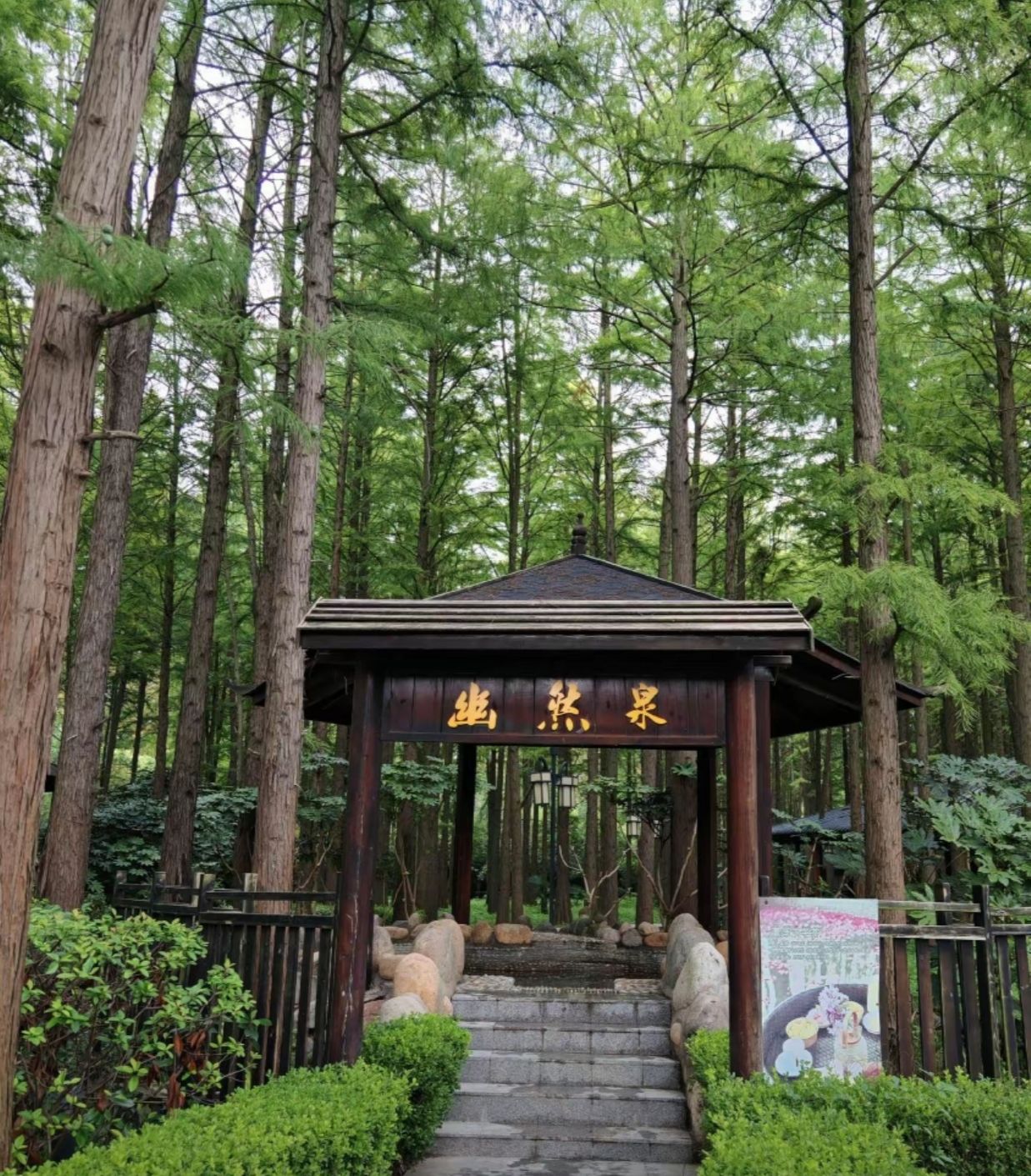 泗洪洪泽湖湿地温泉度假村旅行图片 3