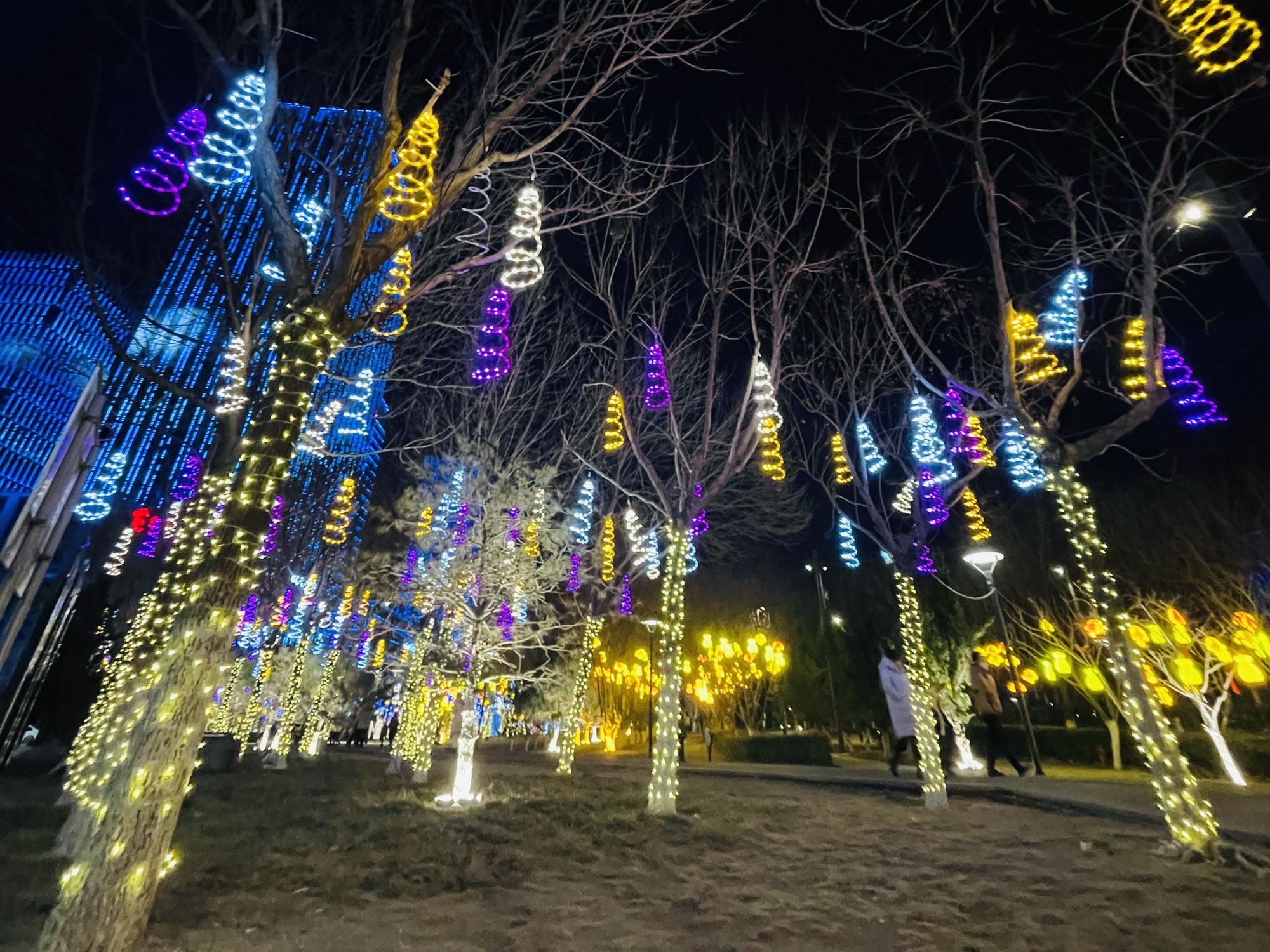 于家堡滨河公园旅行图片 2