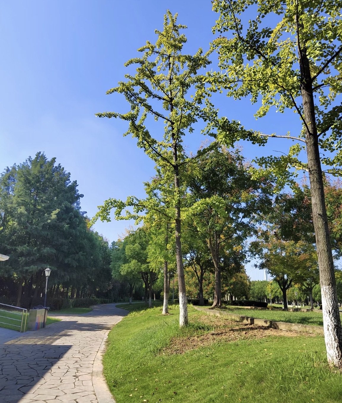范蠡文化公园旅行图片 2