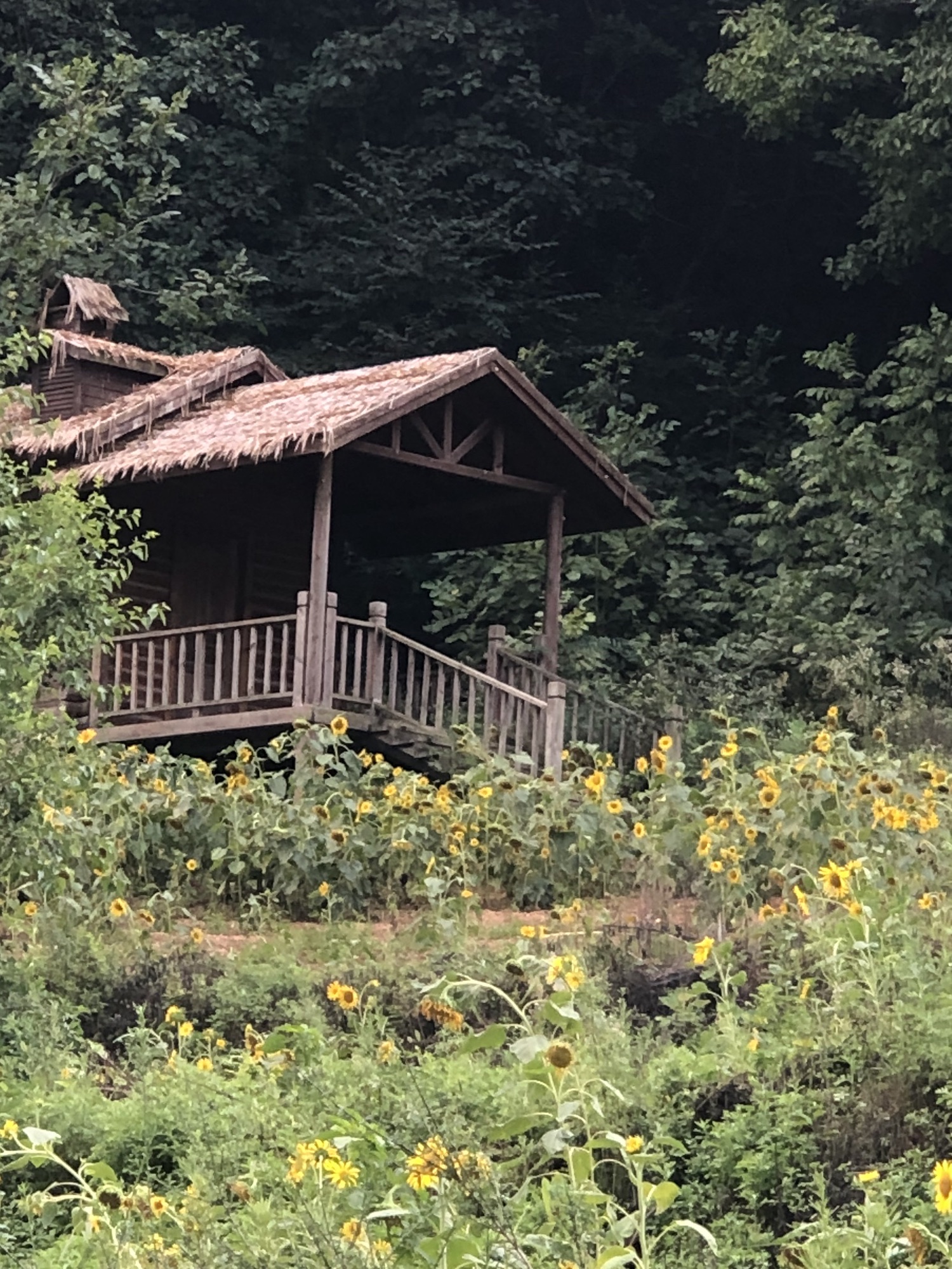 豫西松鹿欢乐谷旅行图片 3