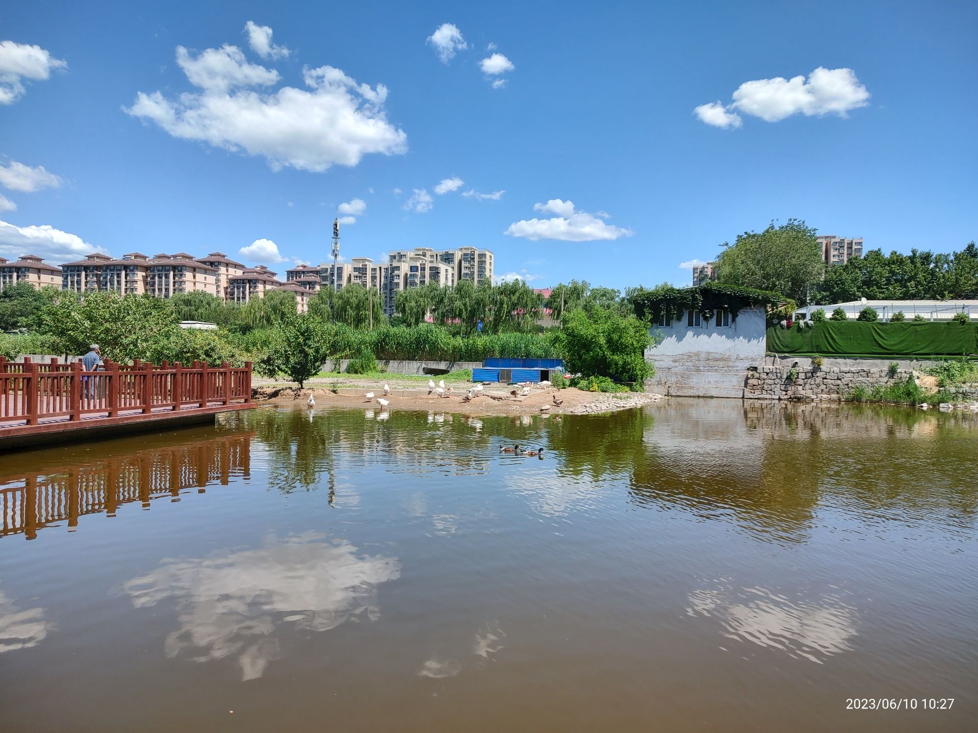 生态公园旅行图片 3