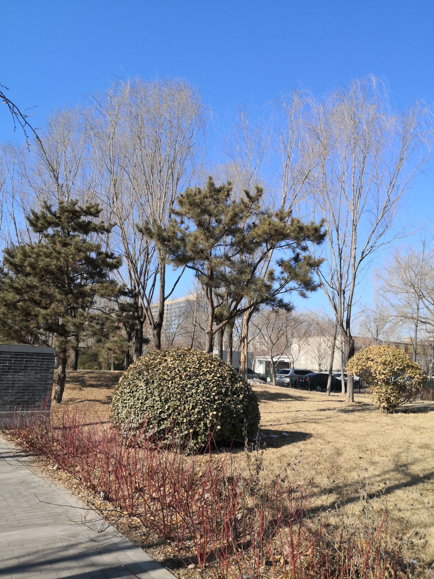生态公园旅行图片 3