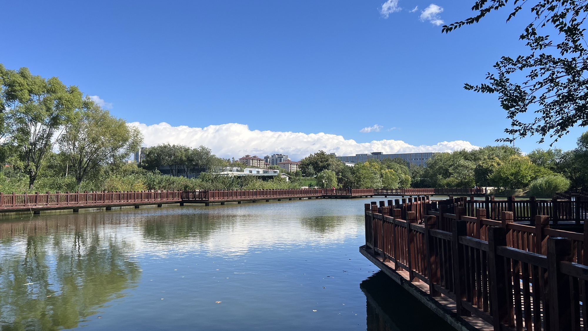 生态公园旅行图片 3