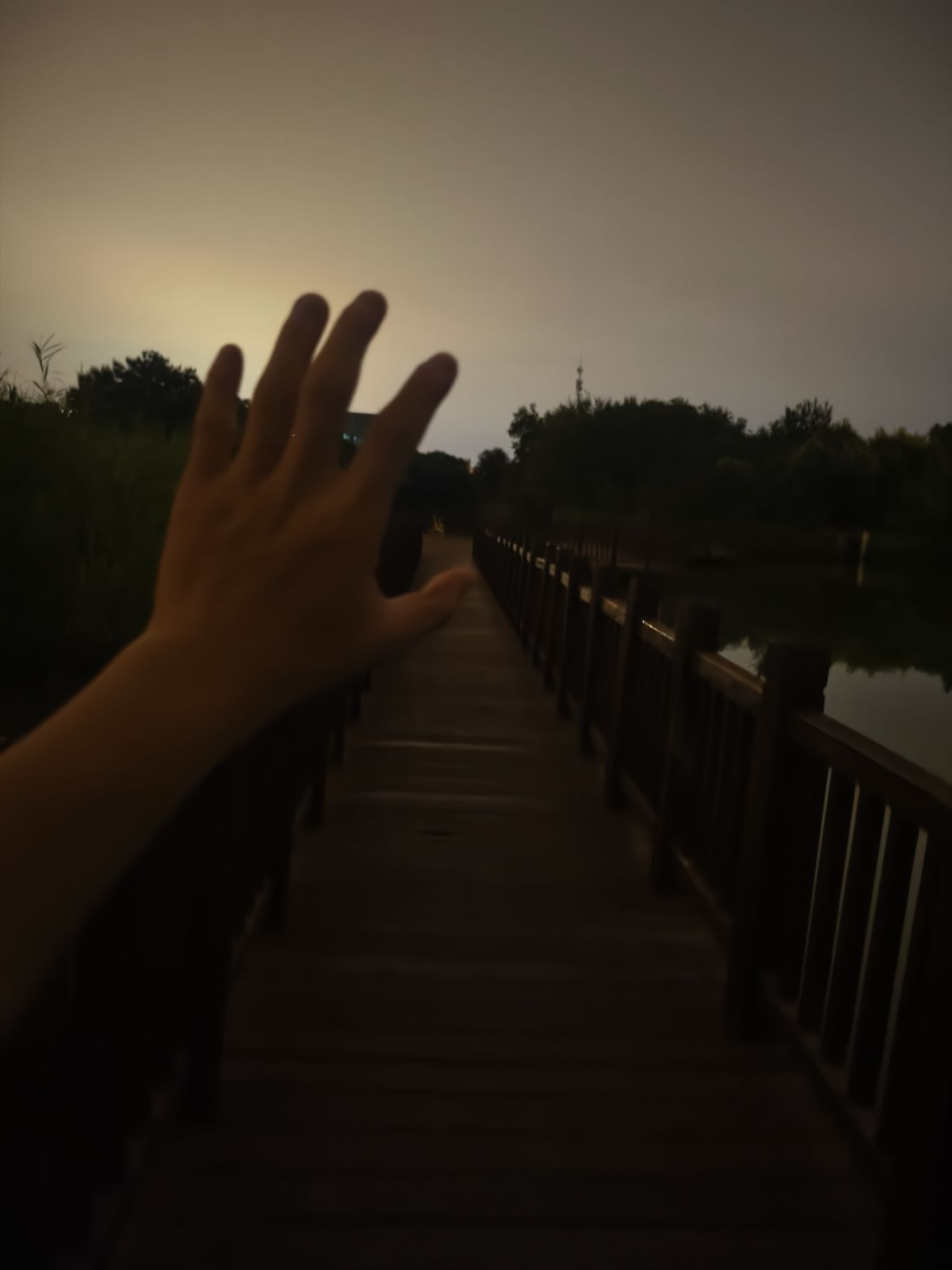 生态公园旅行图片 1