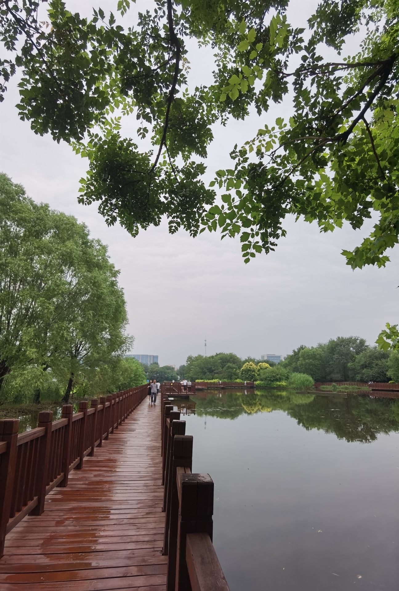 生态公园旅行图片 3