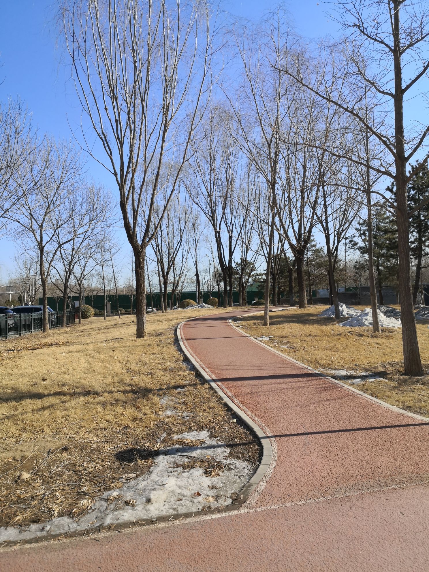 生态公园
