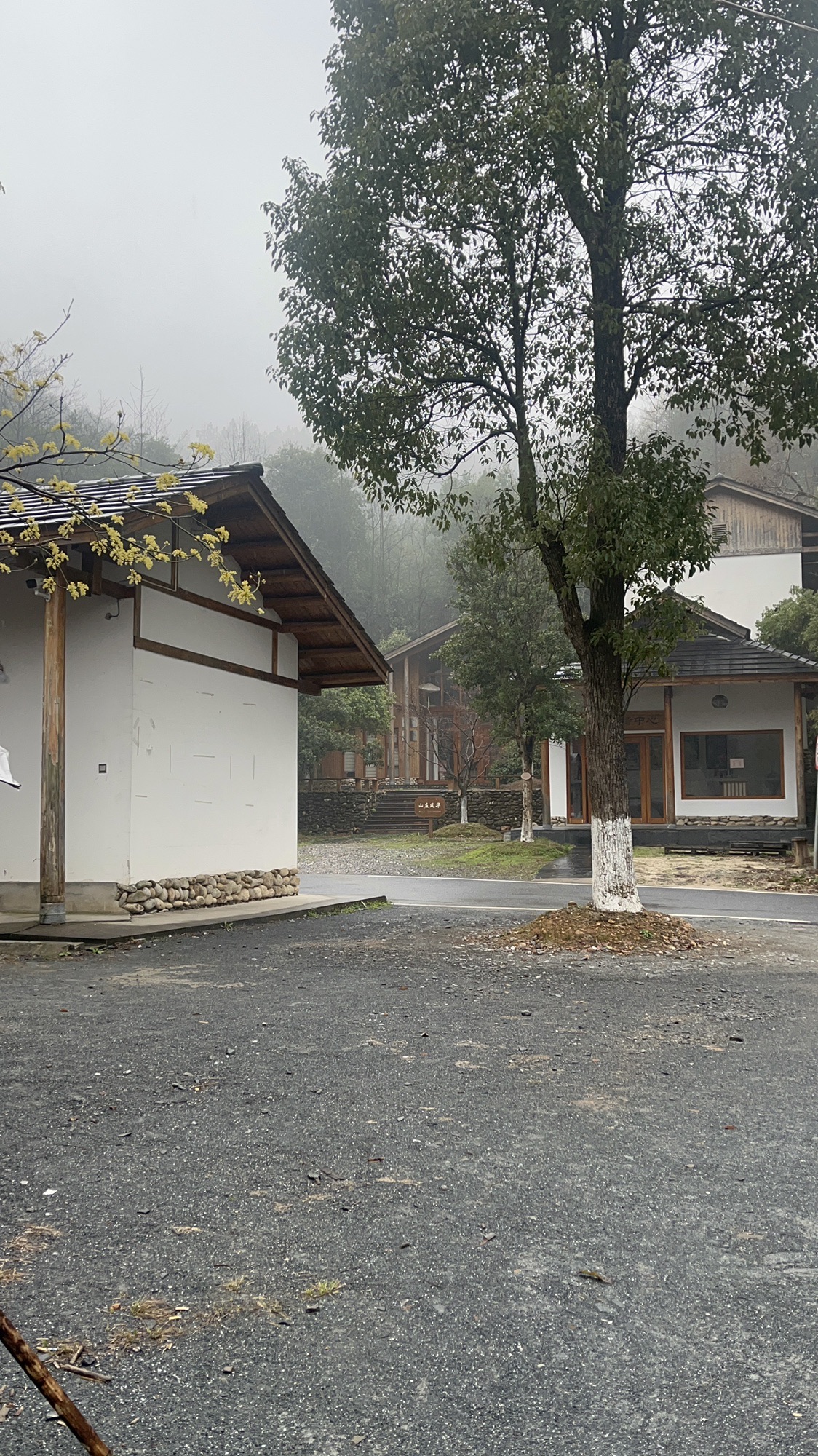 枫溪谷旅行图片 1