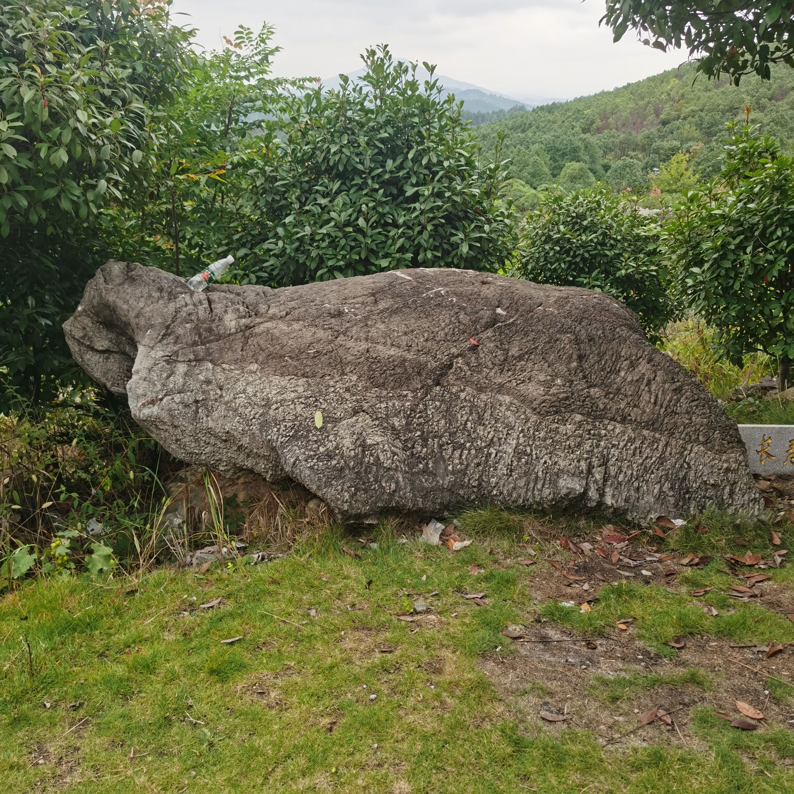邵东石文化公园旅行图片 3