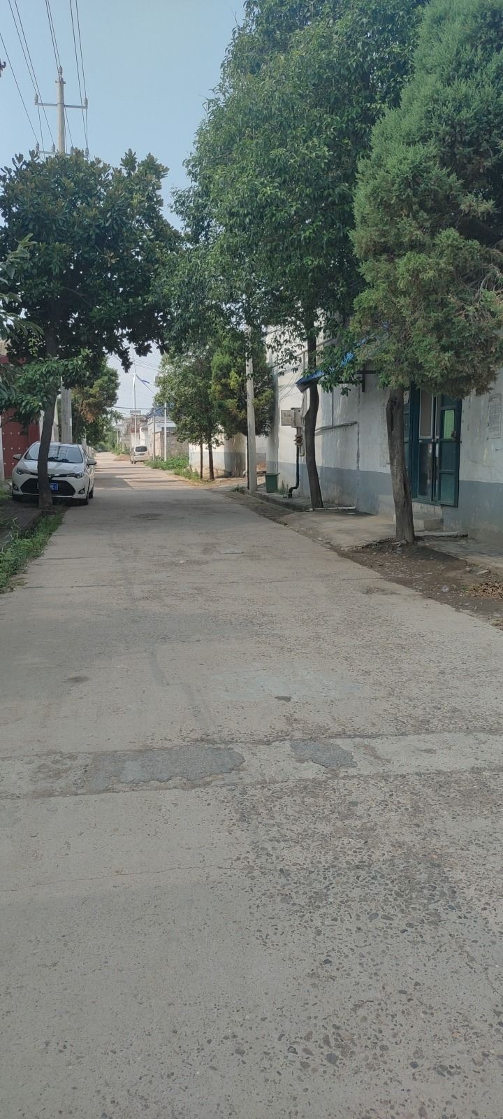 周旗营村广场旅行图片 3