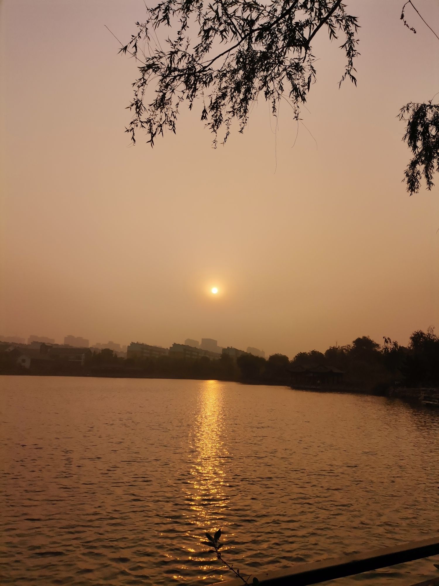 泗水圣源湖公园旅行图片 1