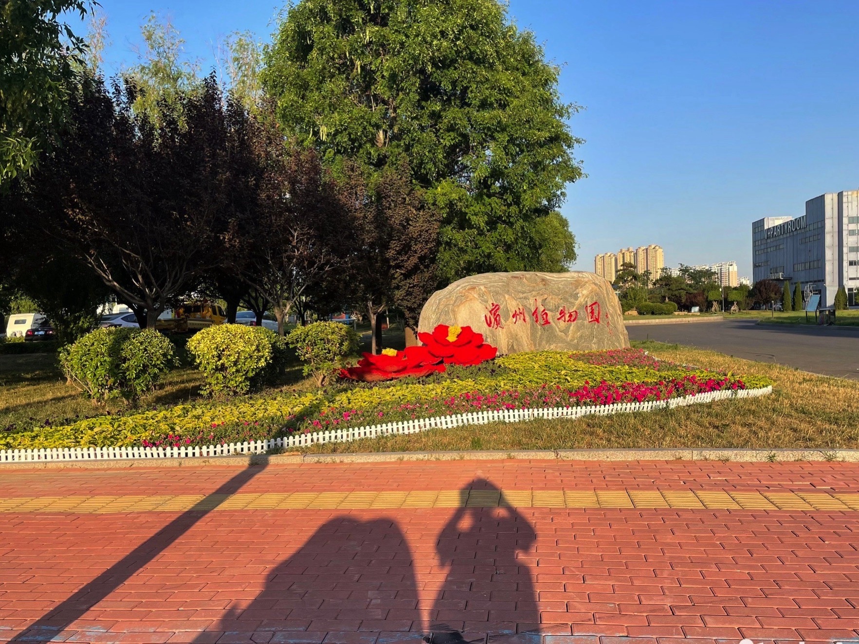 滨州植物园旅行图片 1