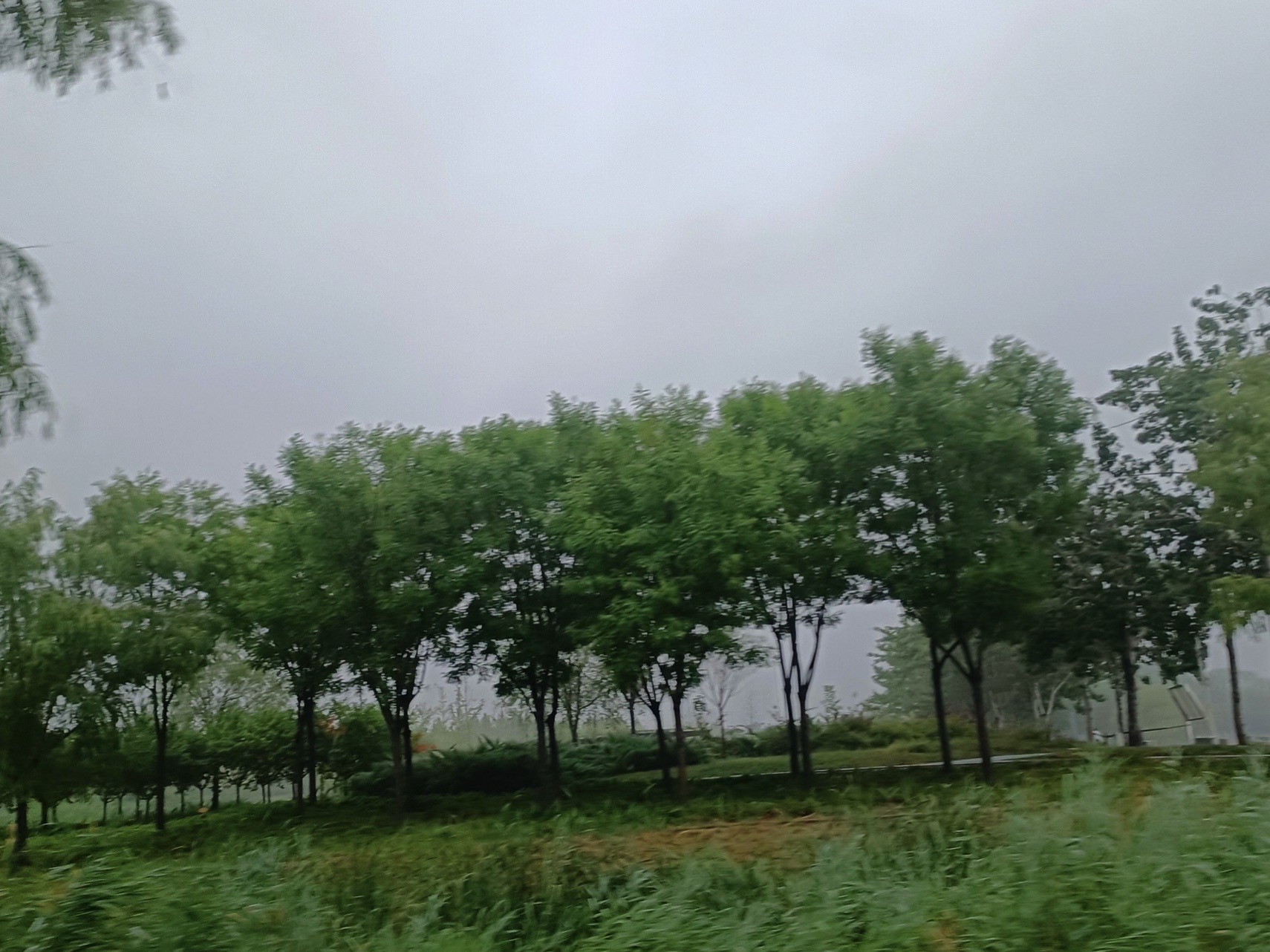 滨州植物园旅行图片 2