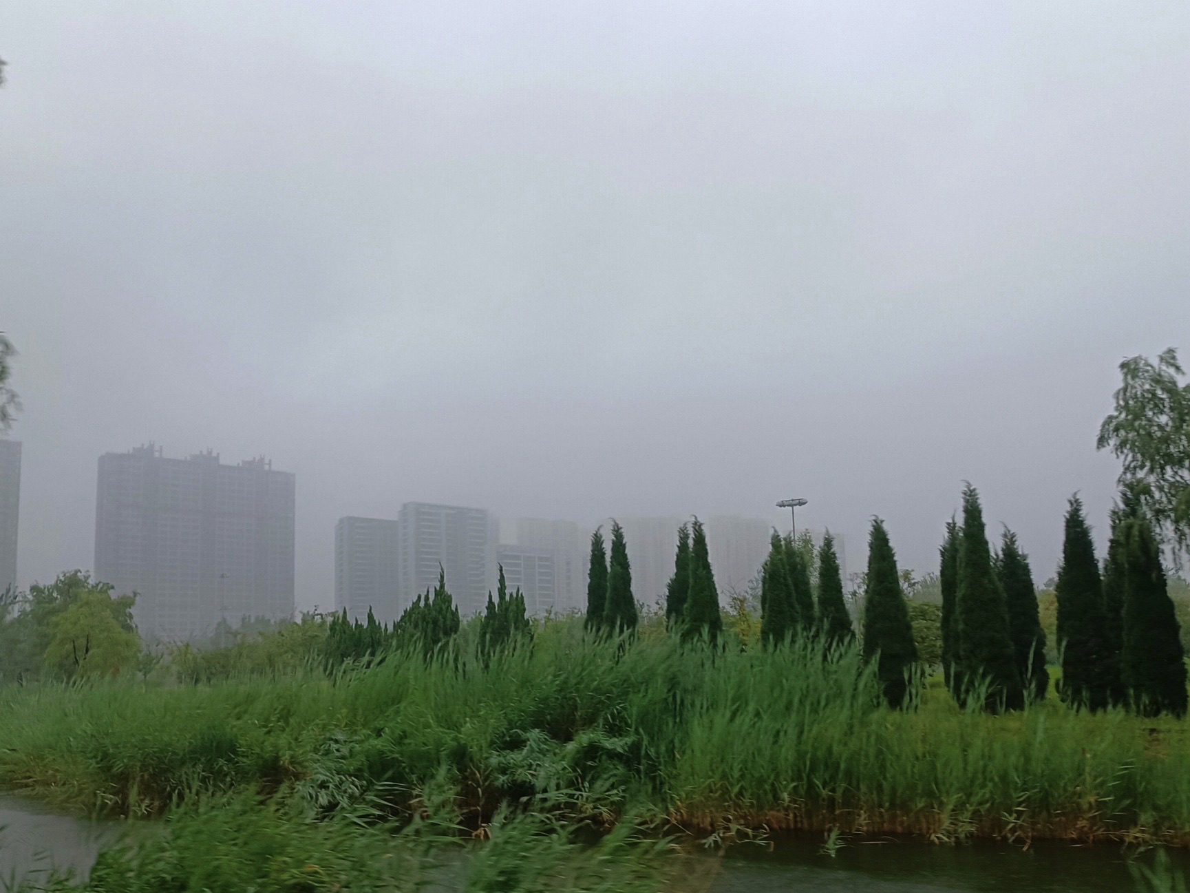 滨州植物园旅行图片 3