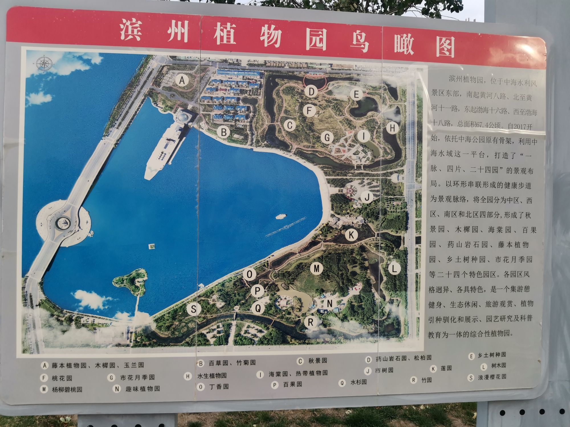 滨州植物园旅行图片 3